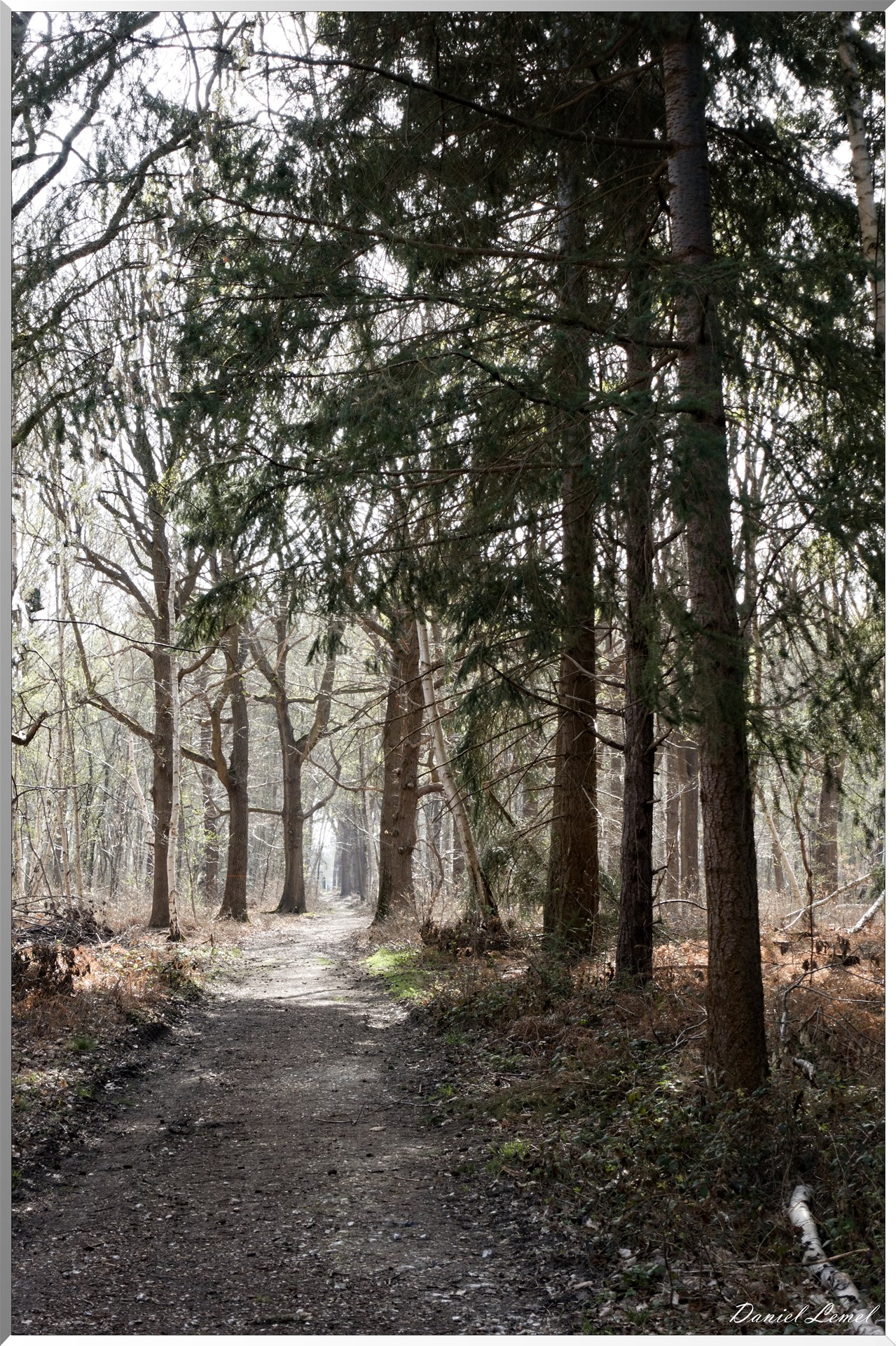 Vernon - Forêt du LRBA