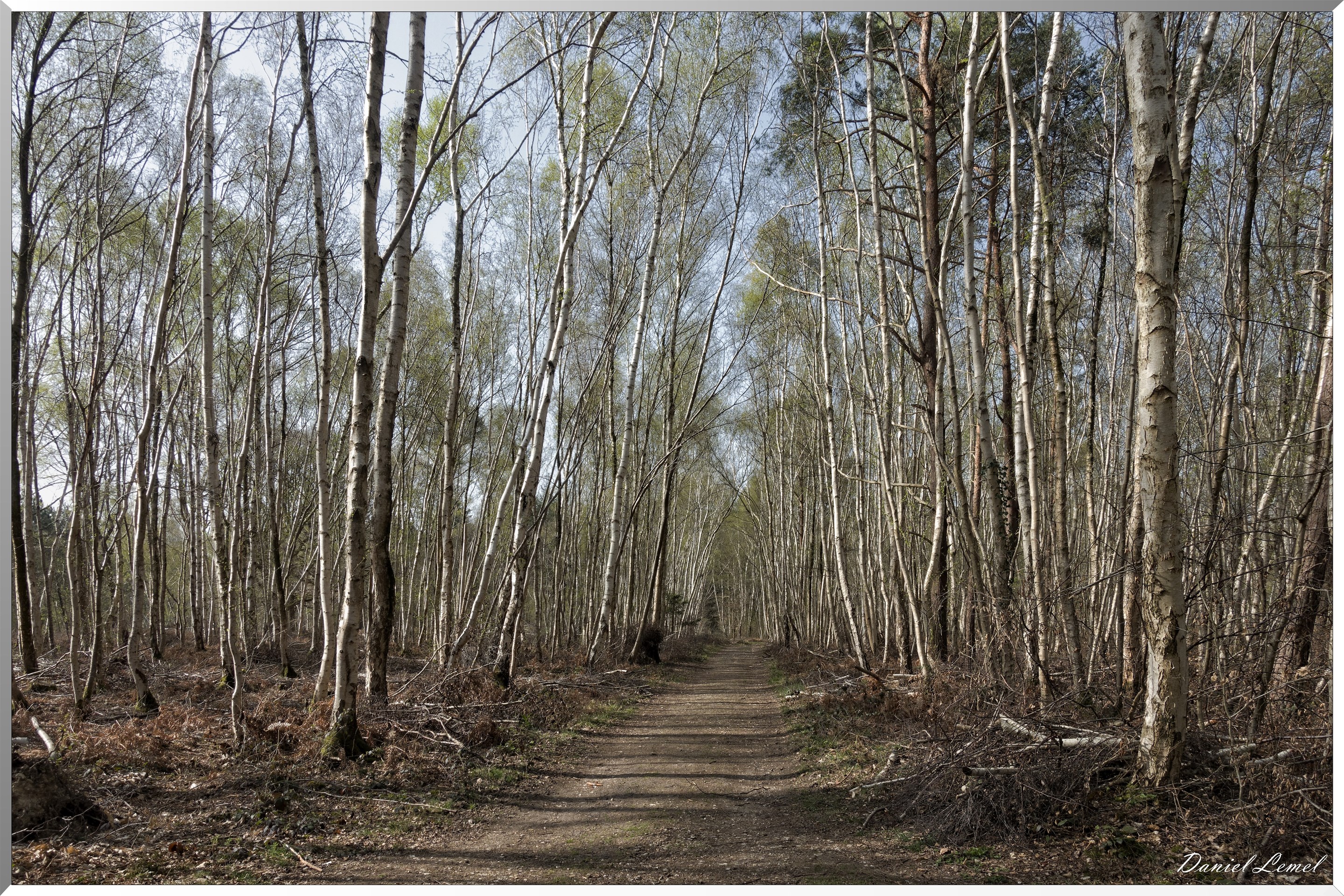 Vernon - Forêt du LRBA