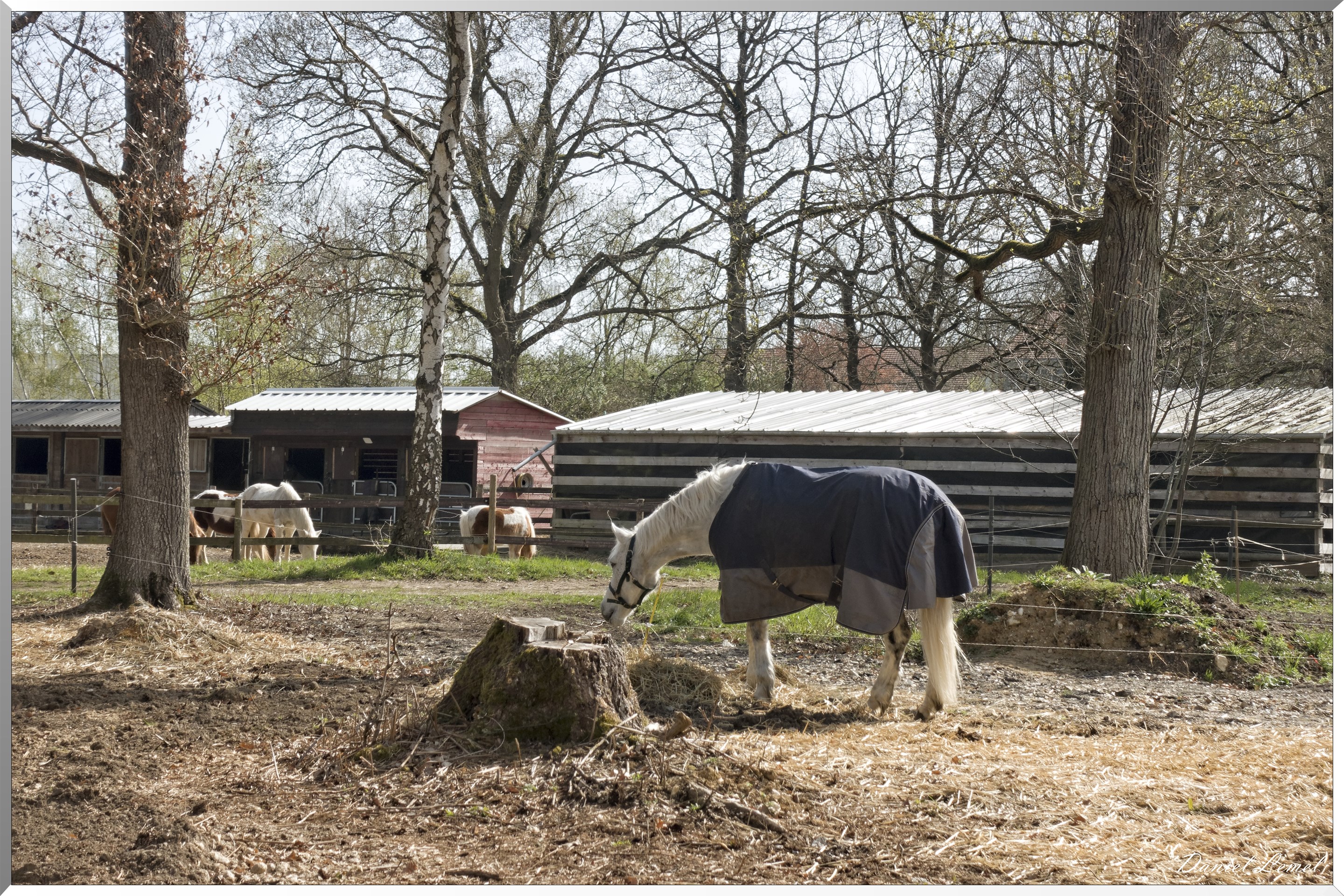 Vernon - Forêt du LRBA
