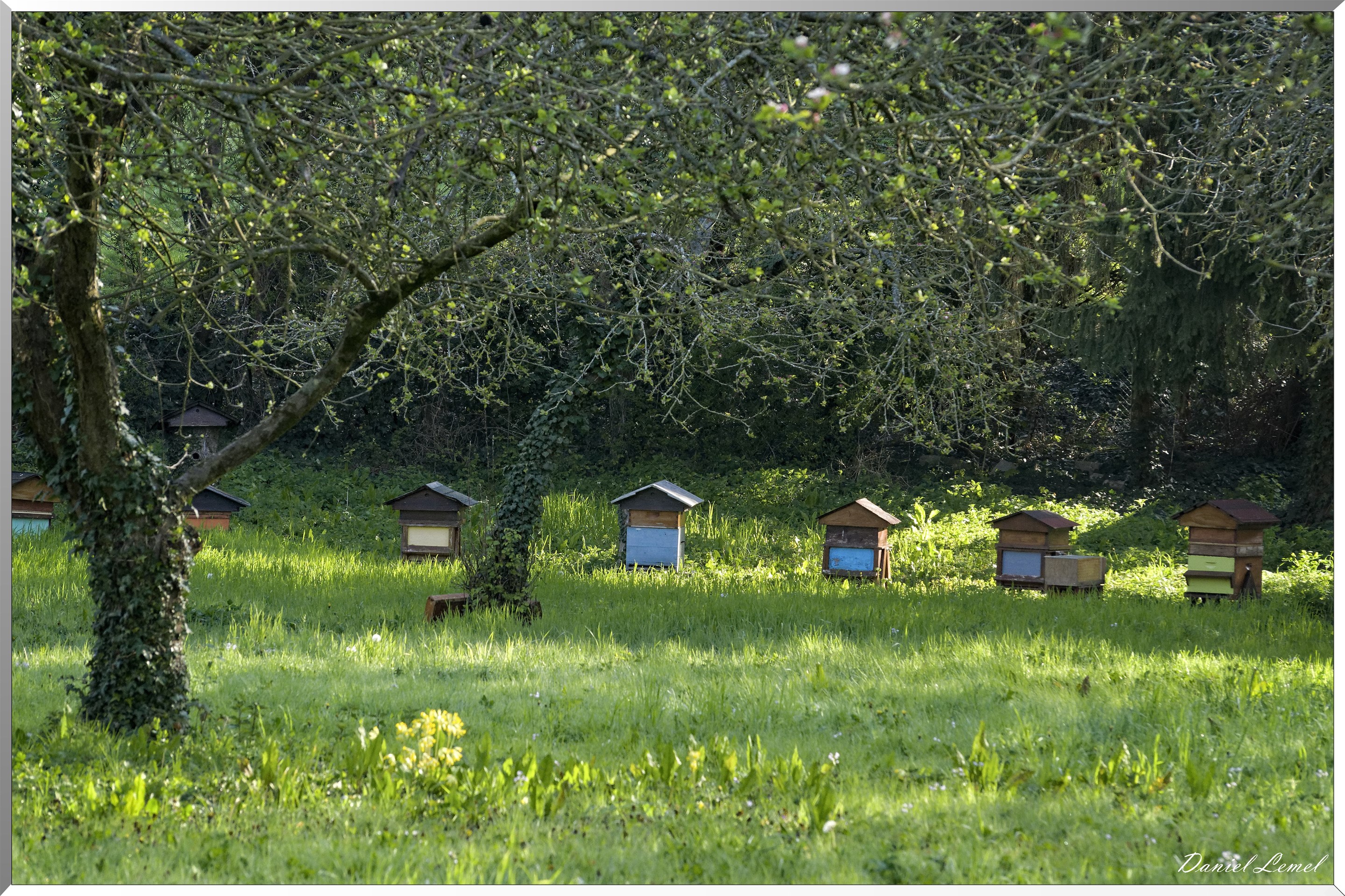 Pressagny l'Orgueilleux
