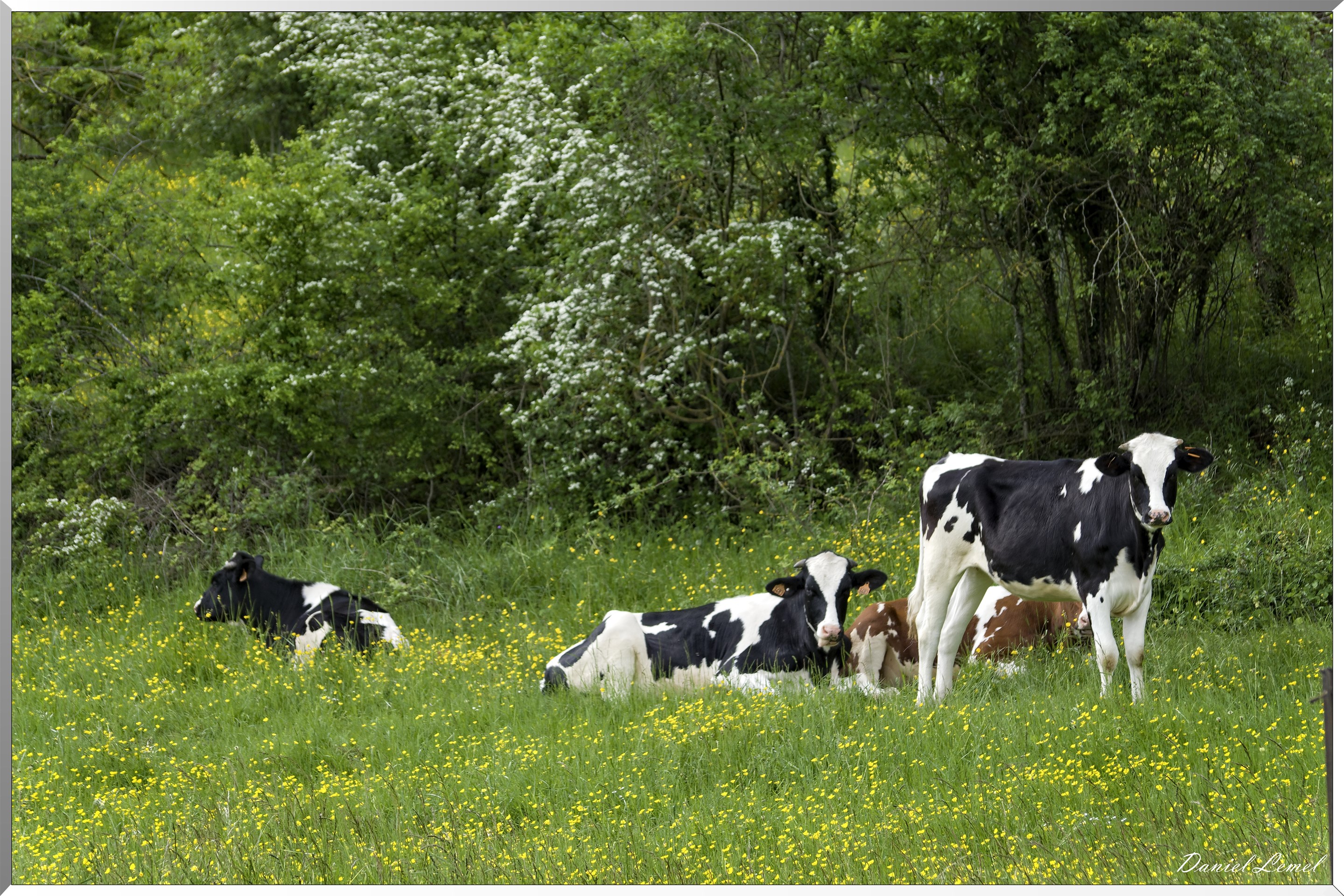 Ambleville-Omerville-Magnitot