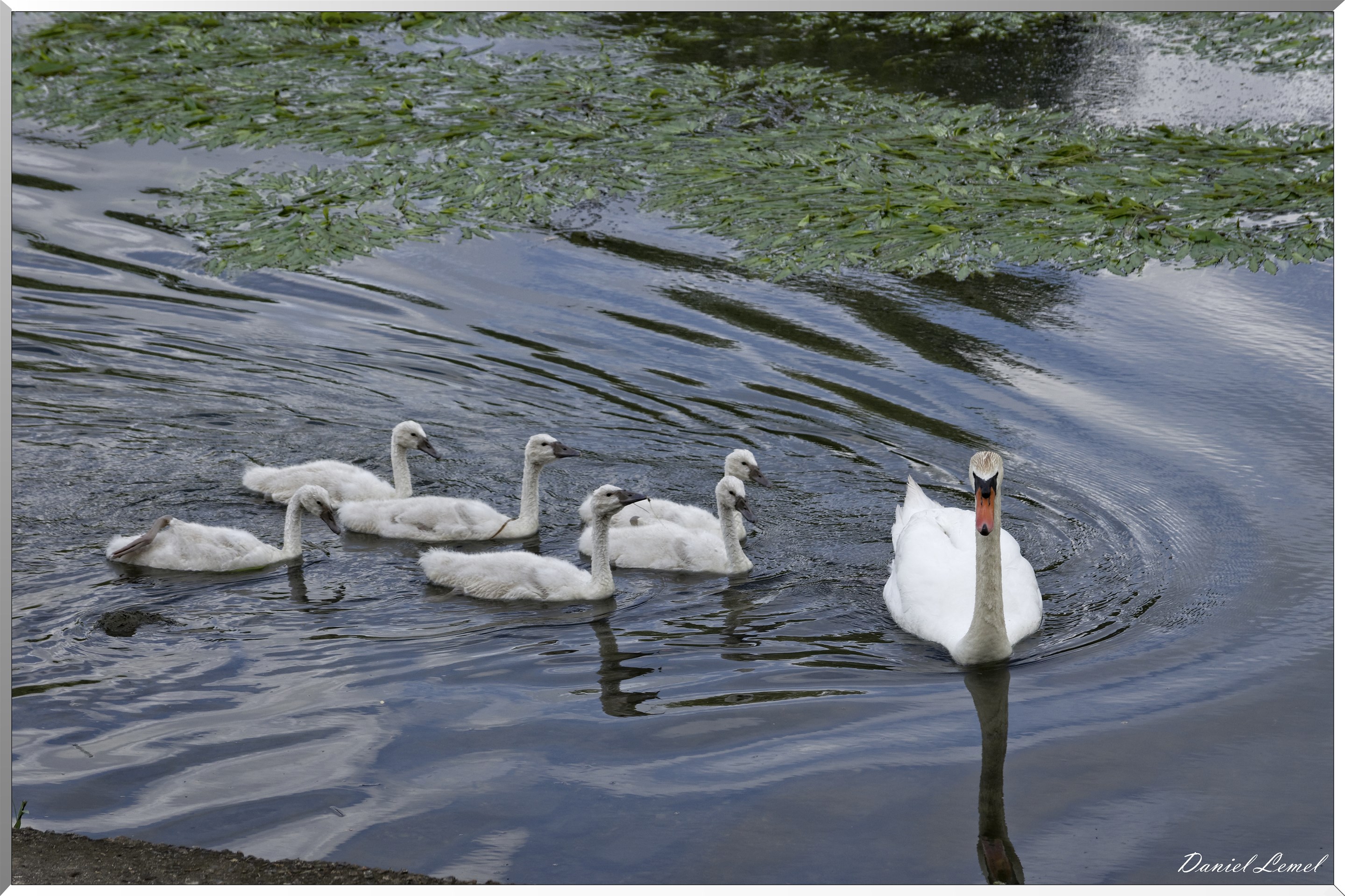 Le-Petit-Andelys