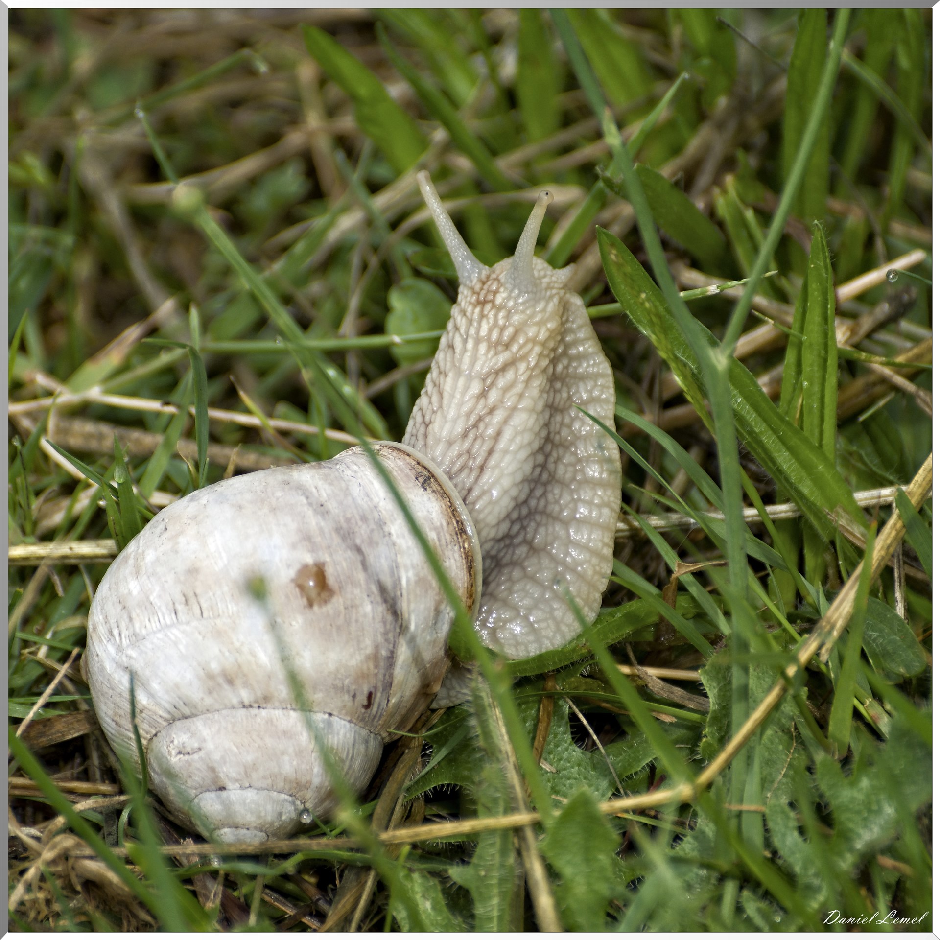Le-Petit-Andelys