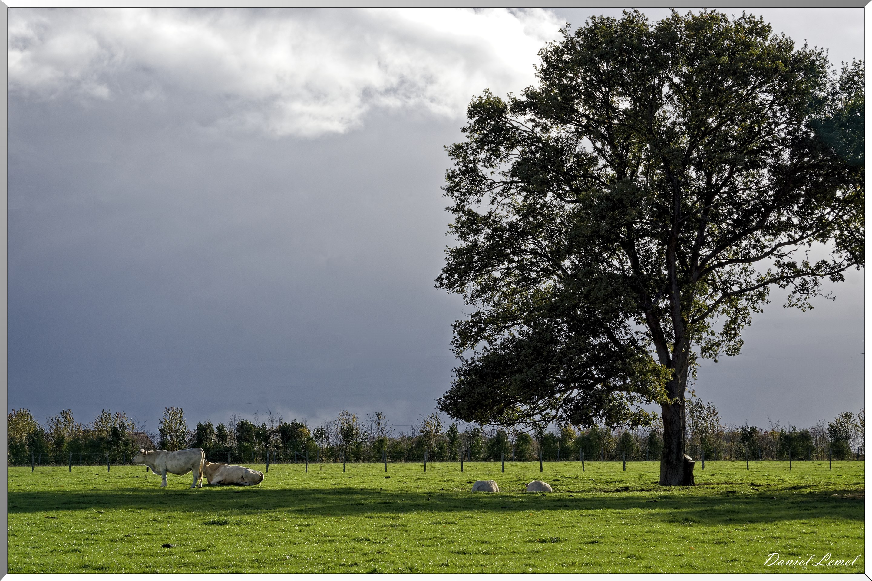 Saint-Pierre-de-Bailleul