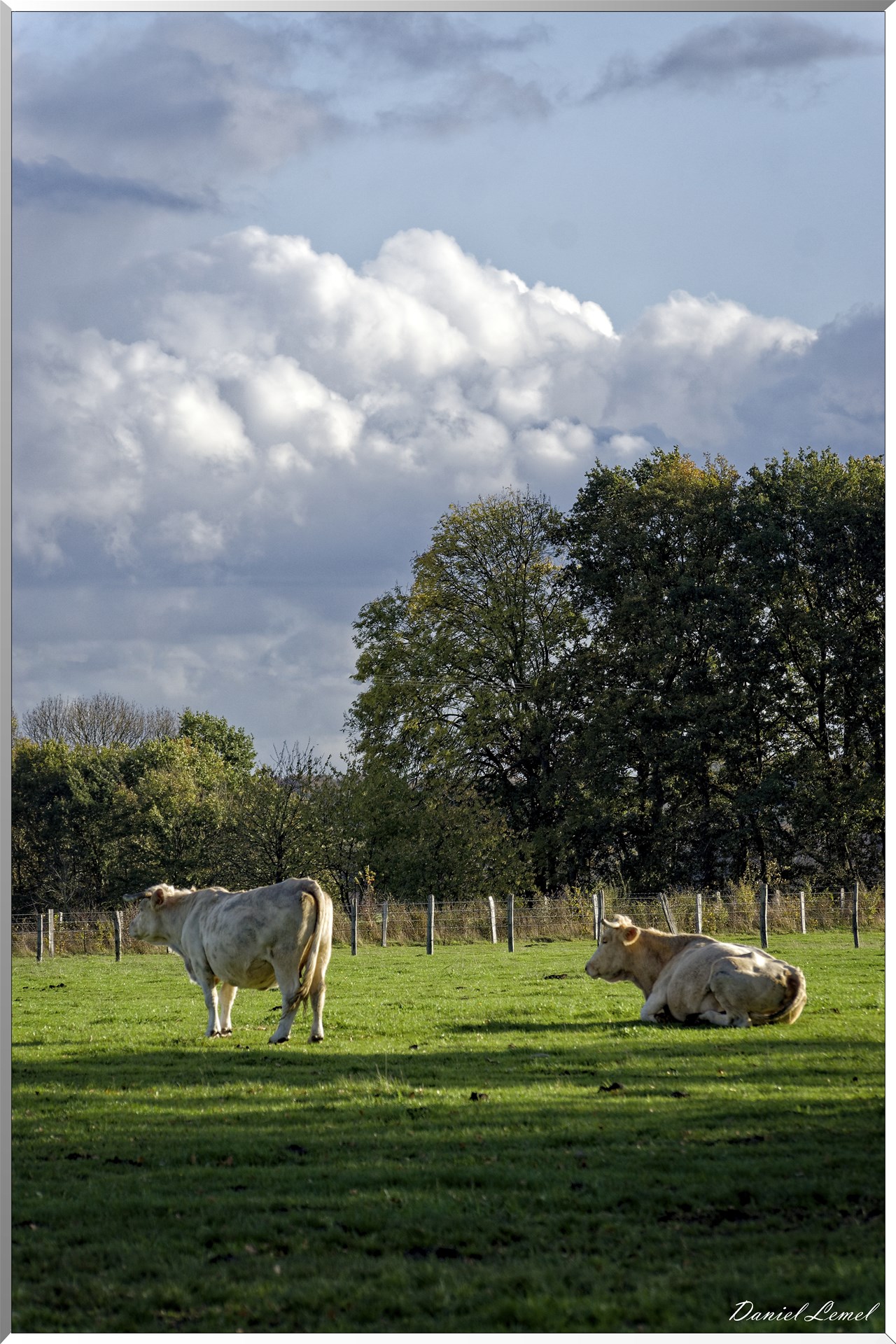 Saint-Pierre-de-Bailleul
