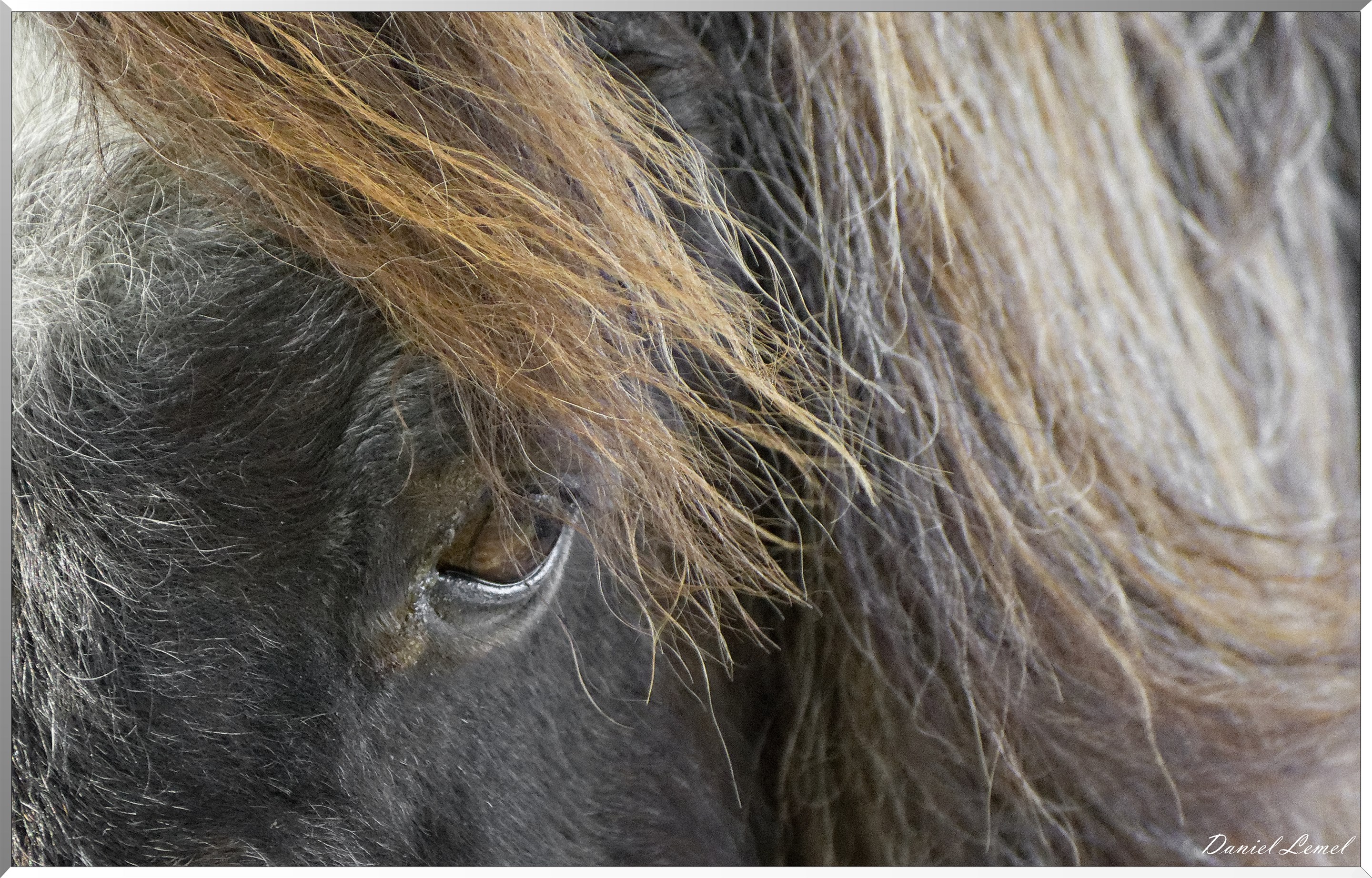 Saint-Pierre-de-Bailleul