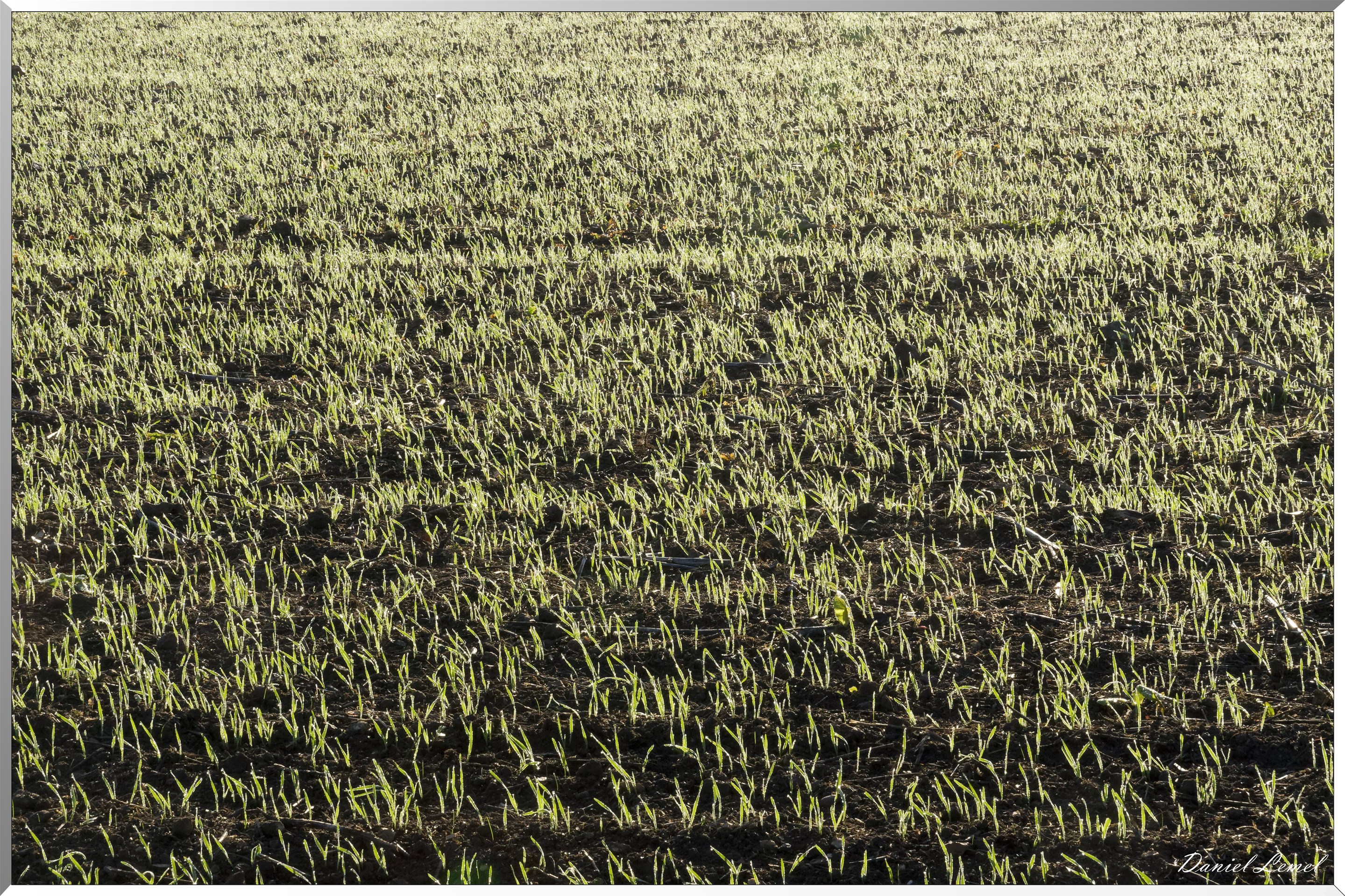 Saint-Pierre-de-Bailleul