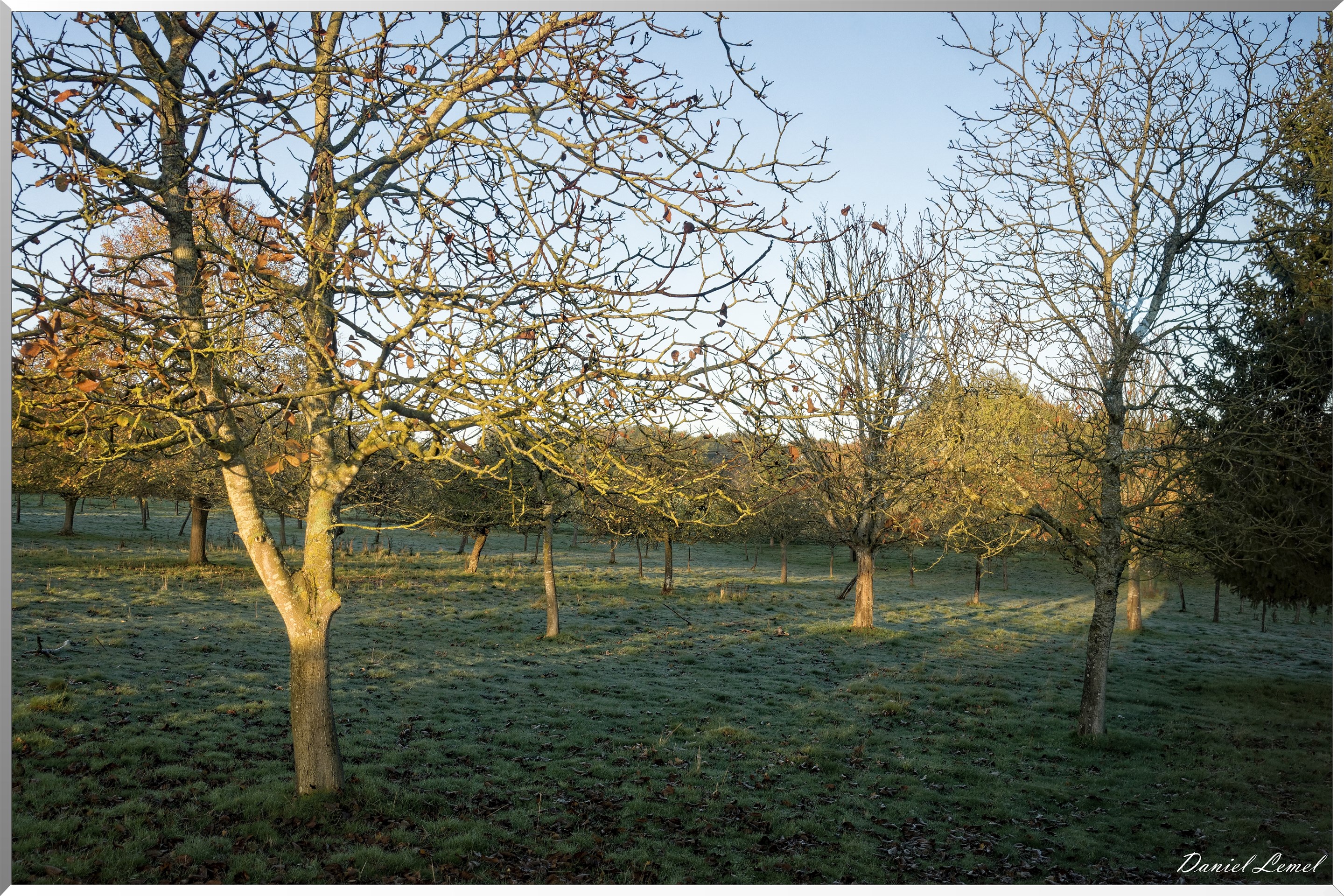 Saint-Pierre-de-Bailleul