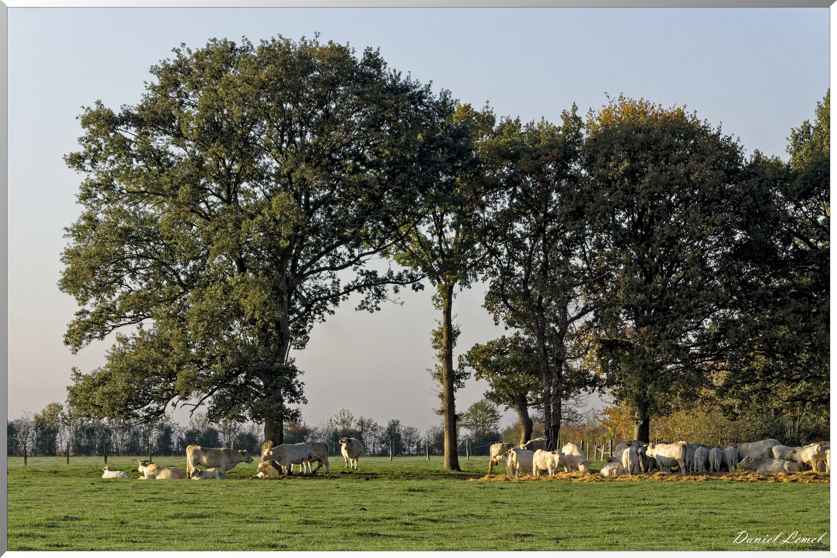 Saint-Pierre-de-Bailleul