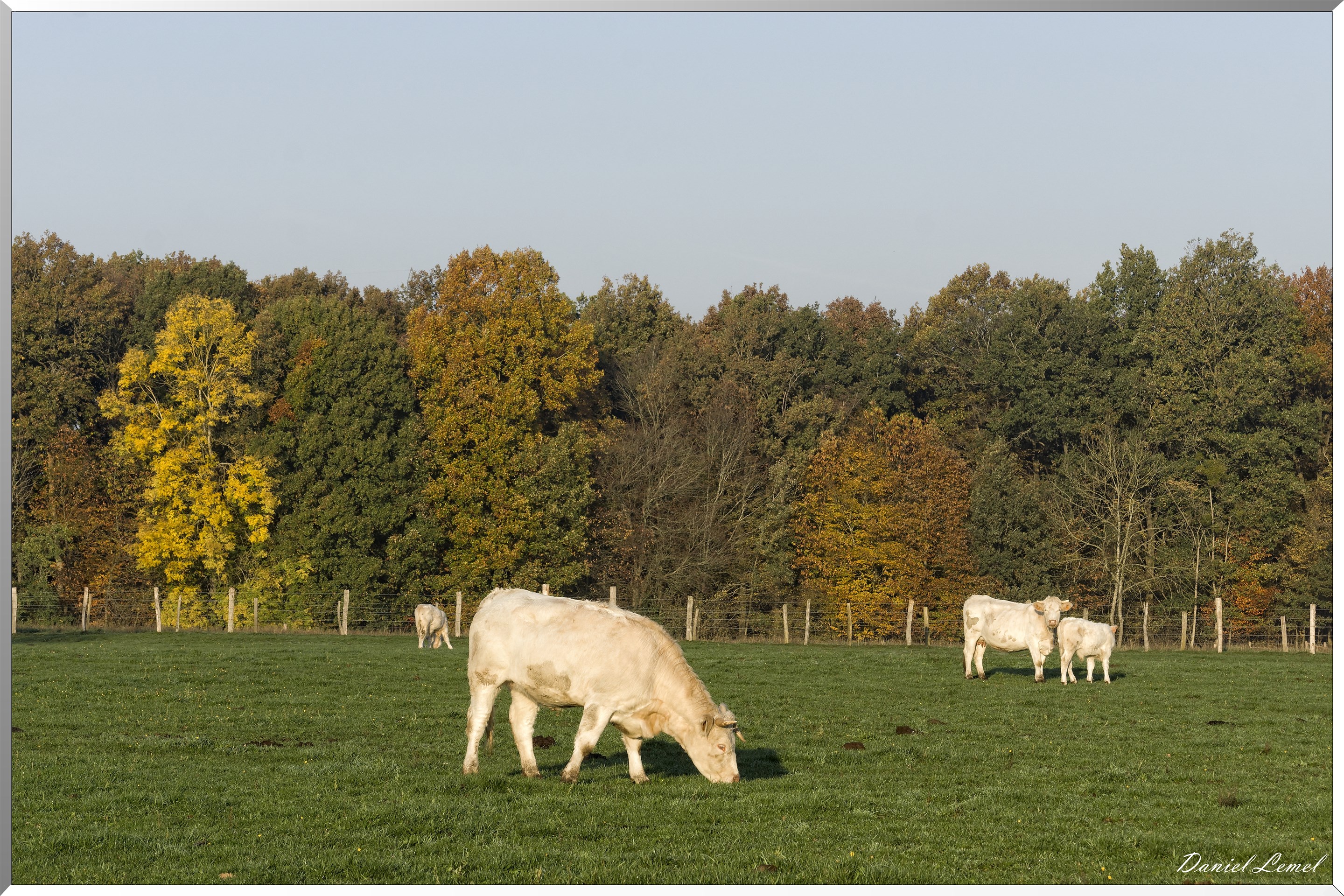 Saint-Pierre-de-Bailleul