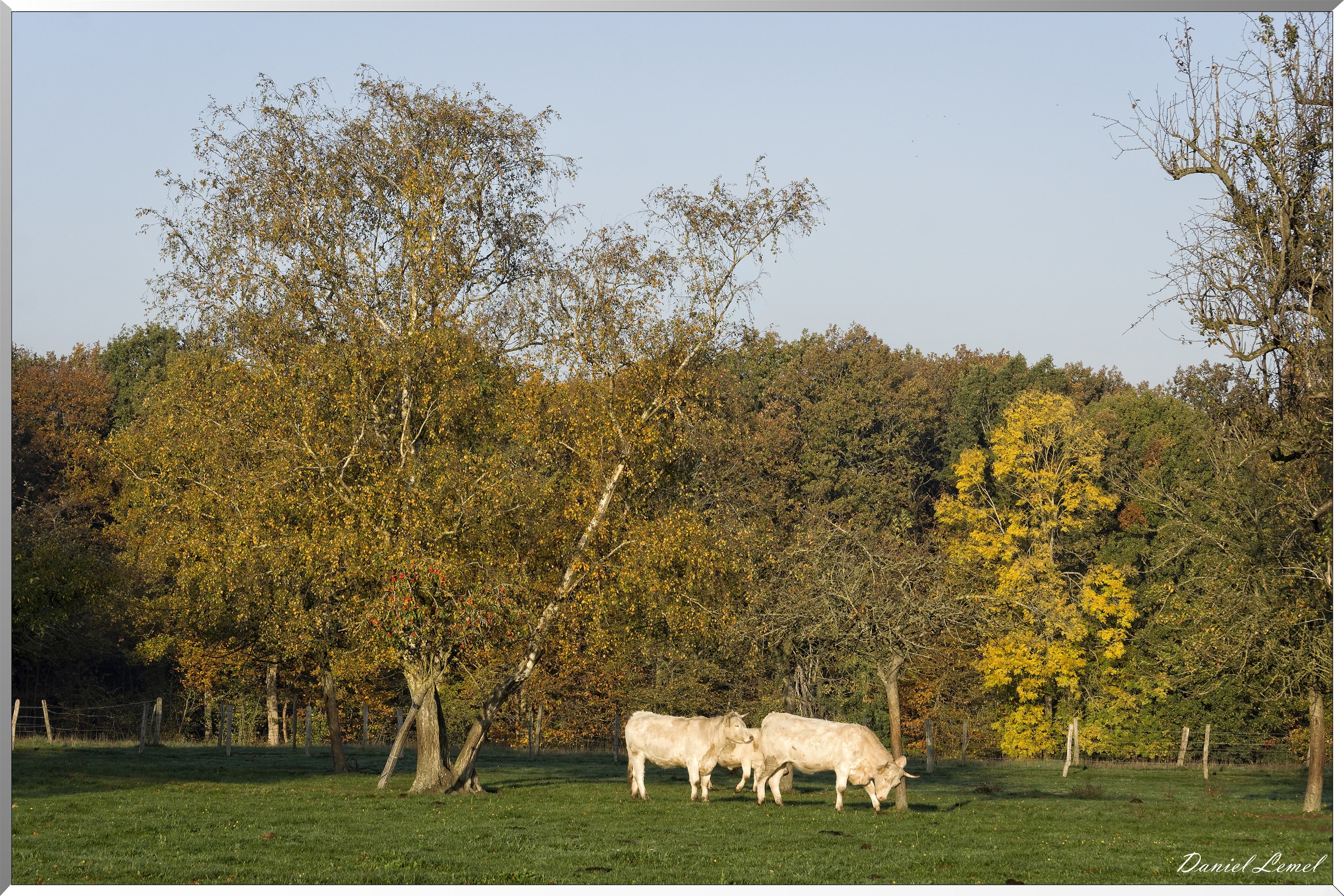 Saint-Pierre-de-Bailleul