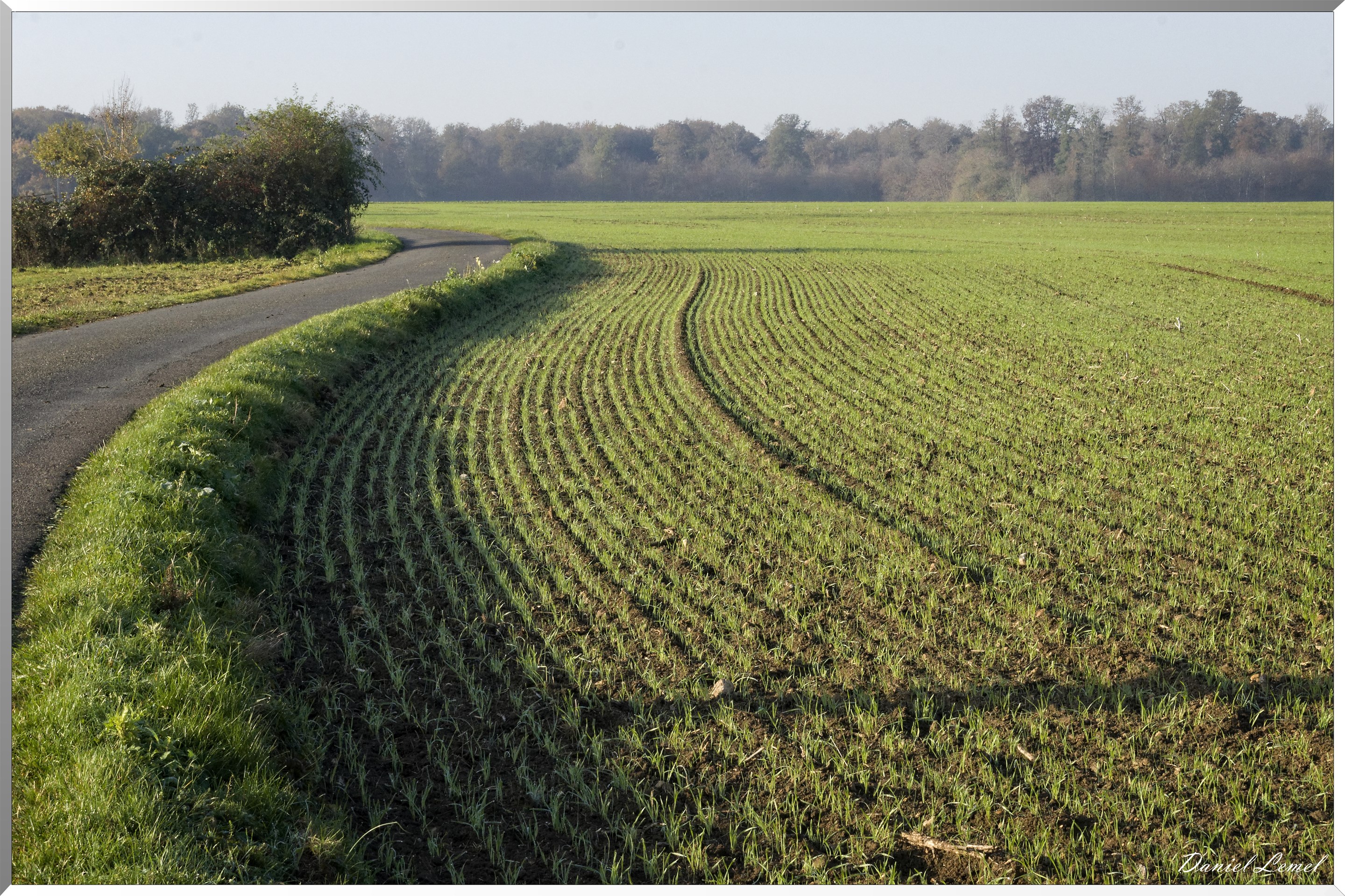 Saint-Pierre-de-Bailleul