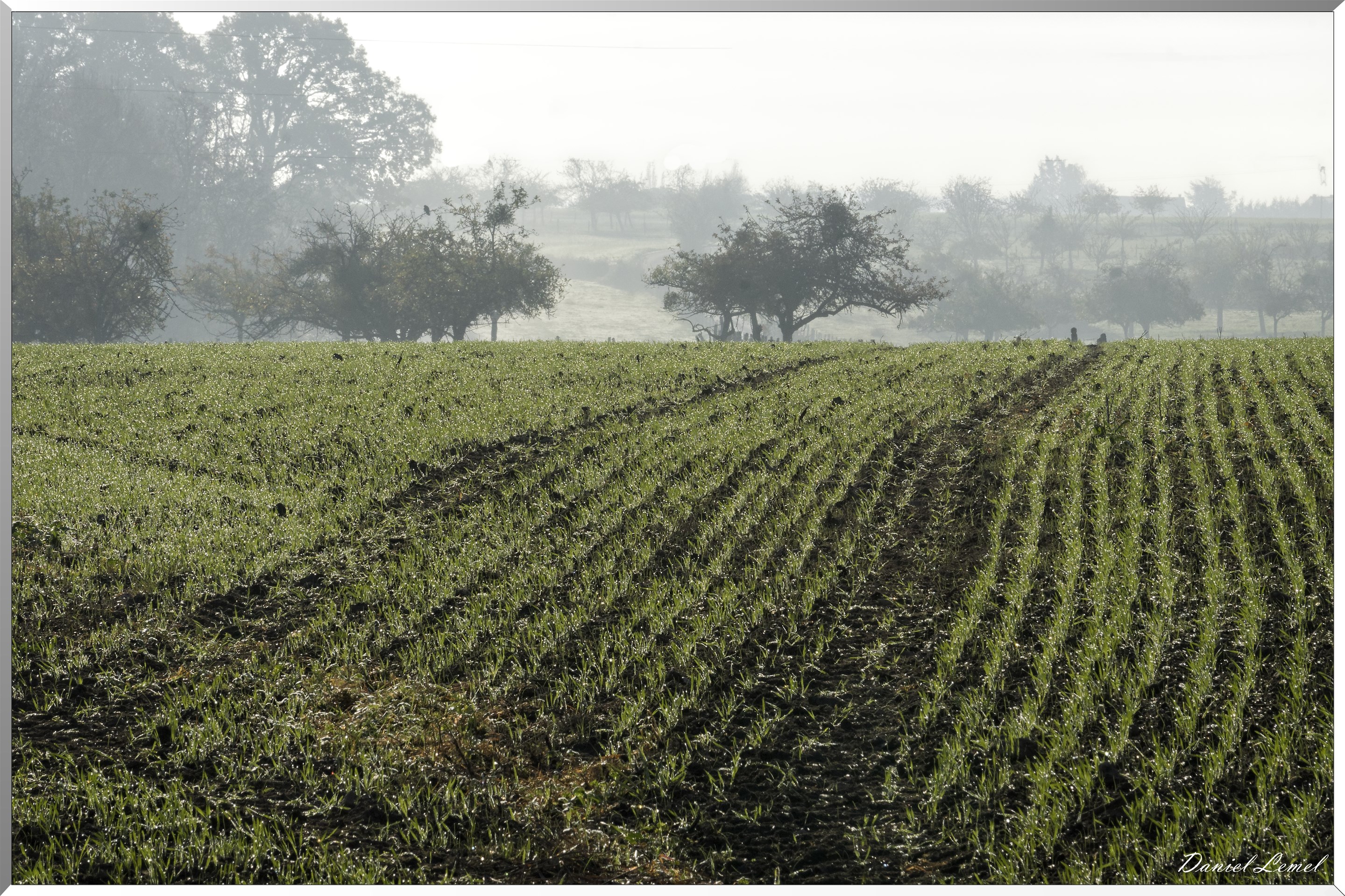 Saint-Pierre-de-Bailleul