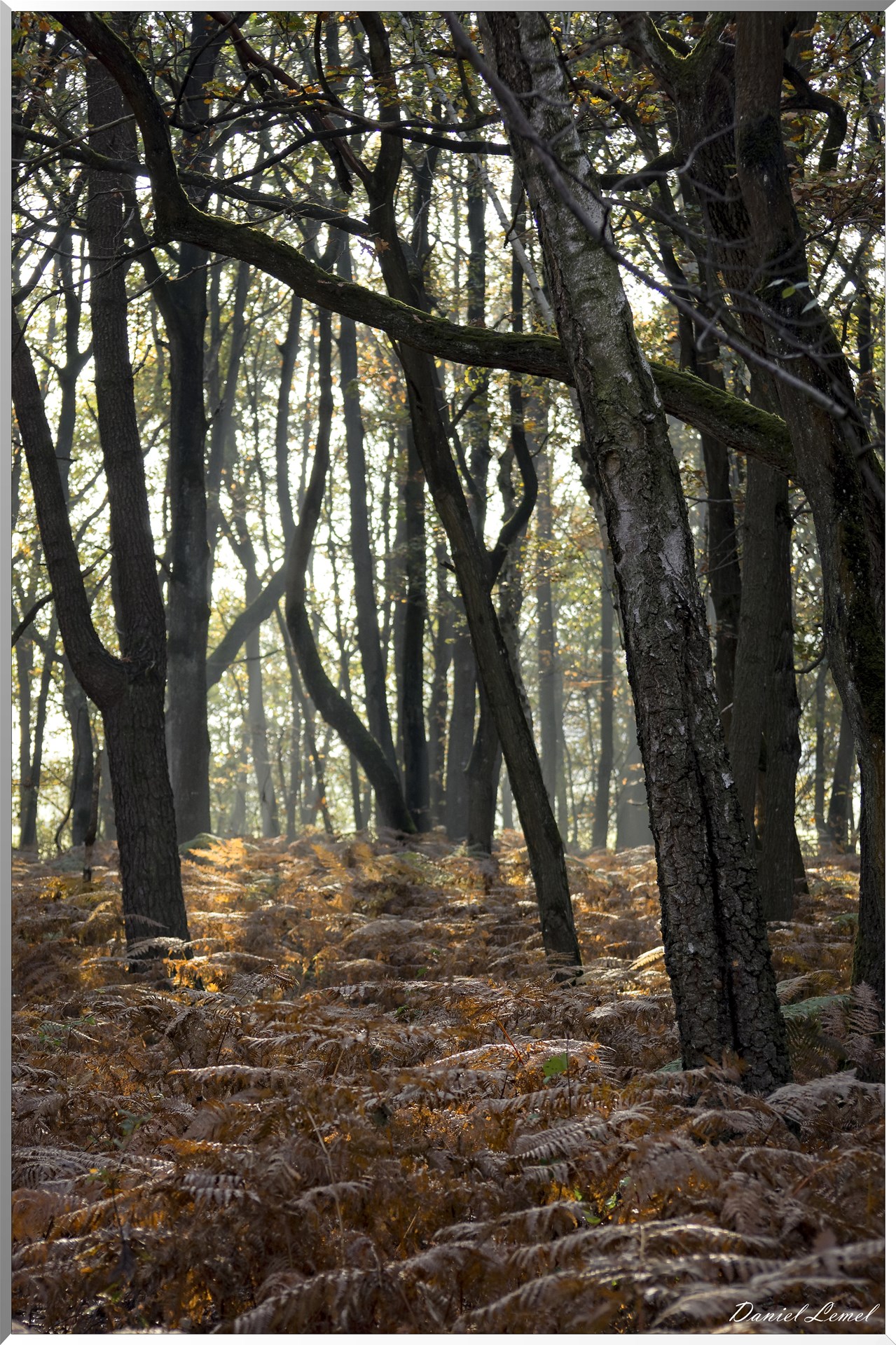 Saint-Pierre-de-Bailleul