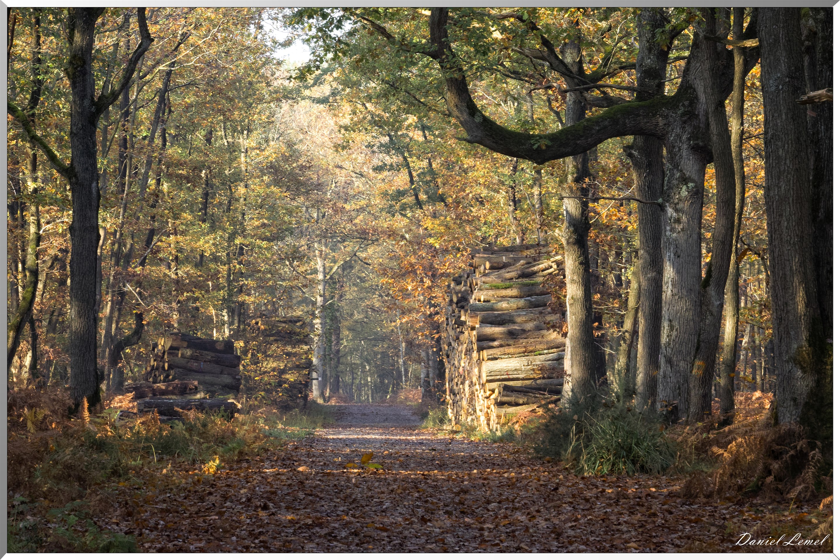 Saint-Pierre-de-Bailleul