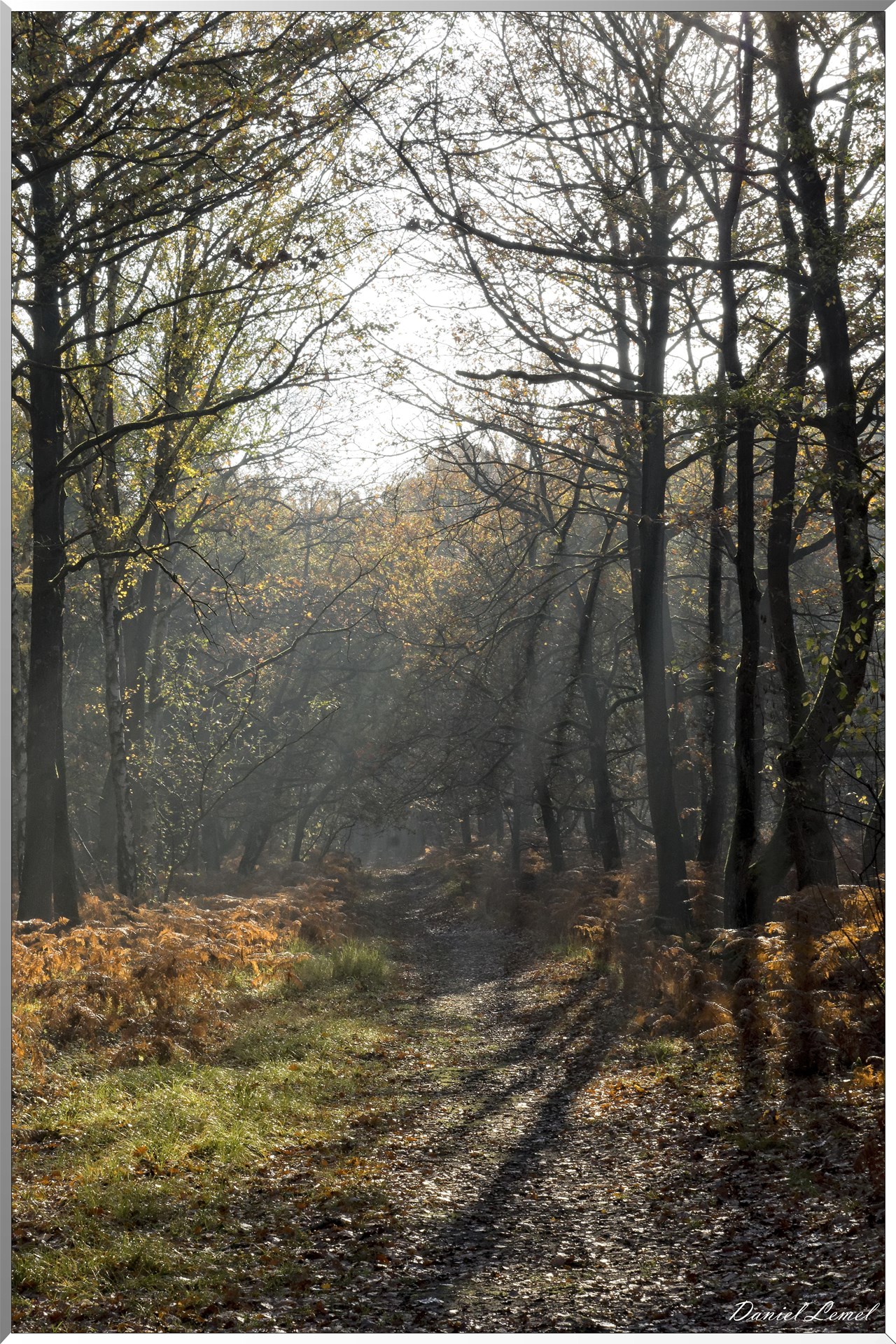 Saint-Pierre-de-Bailleul