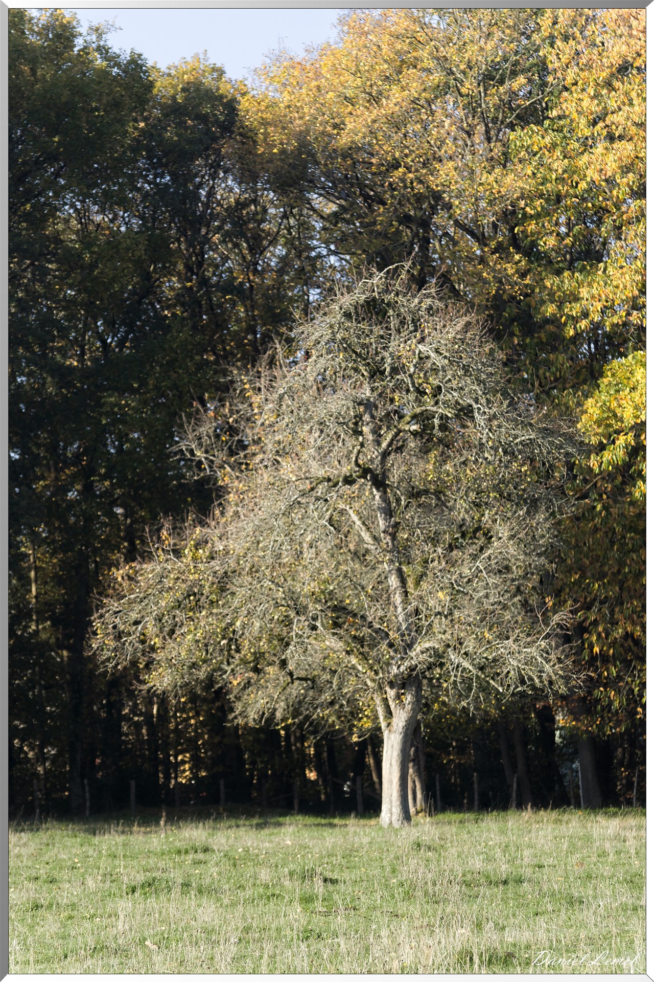 Saint-Pierre-de-Bailleul