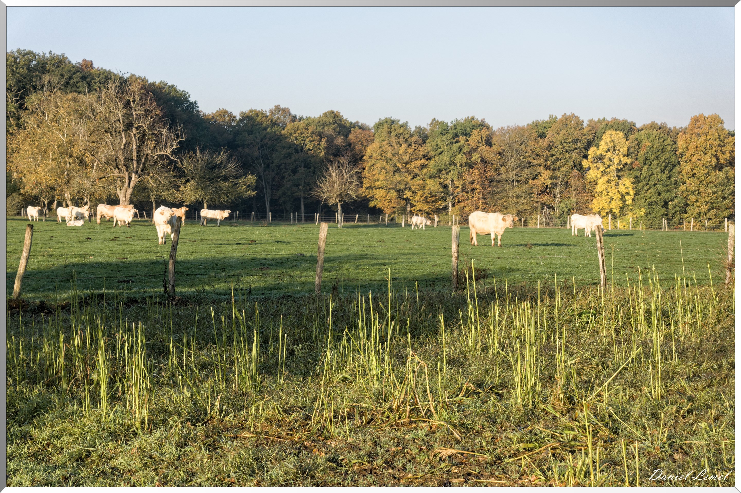 Saint-Pierre-de-Bailleul