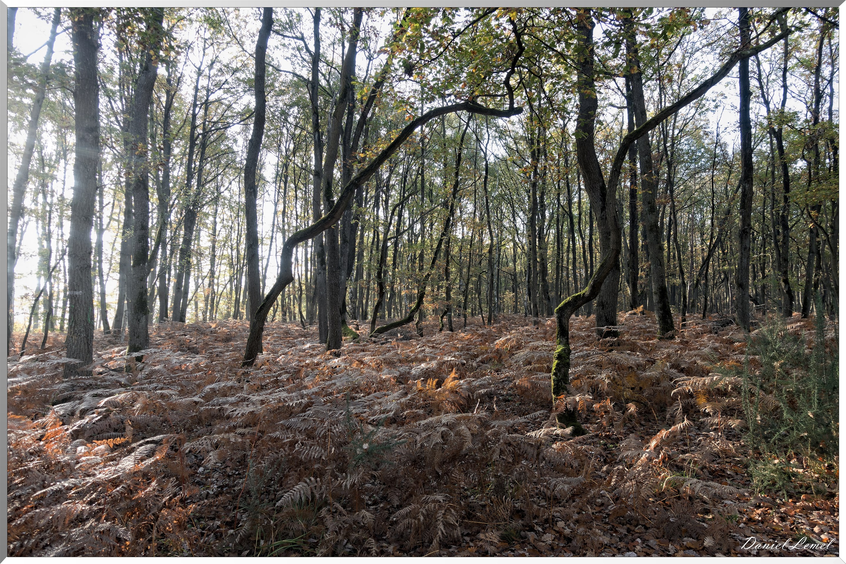 Saint-Pierre-de-Bailleul