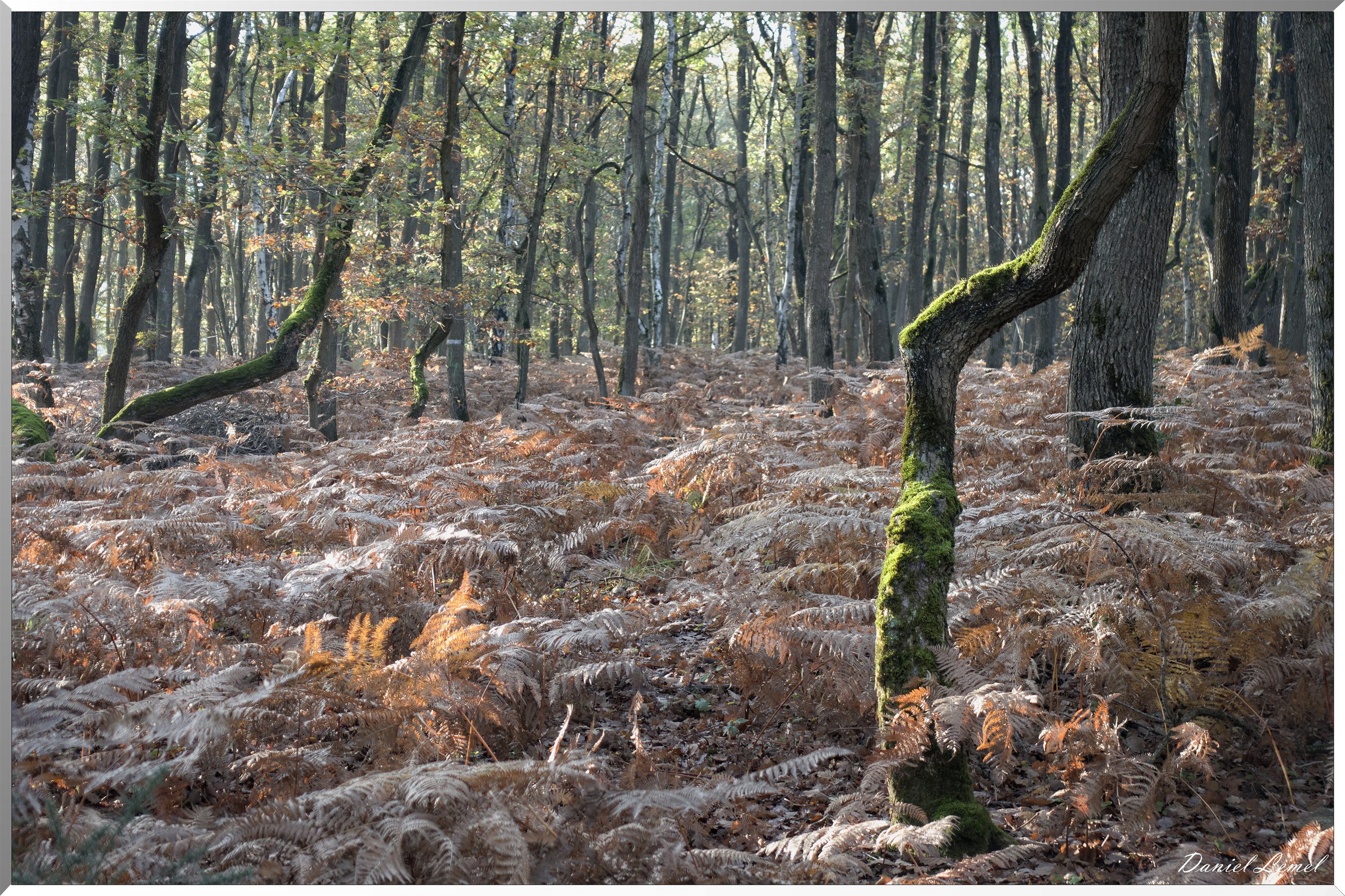 Saint-Pierre-de-Bailleul