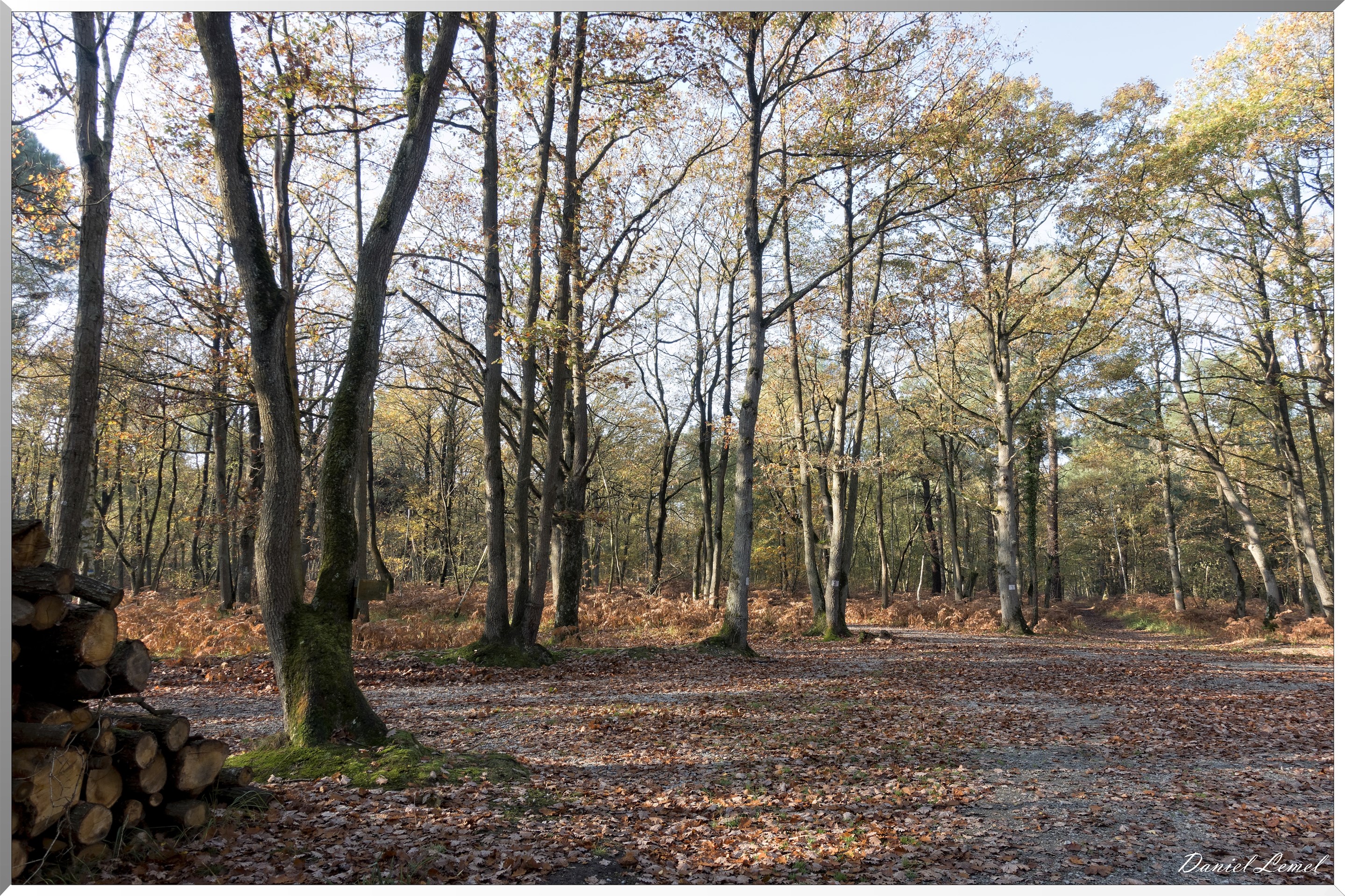 Saint-Pierre-de-Bailleul