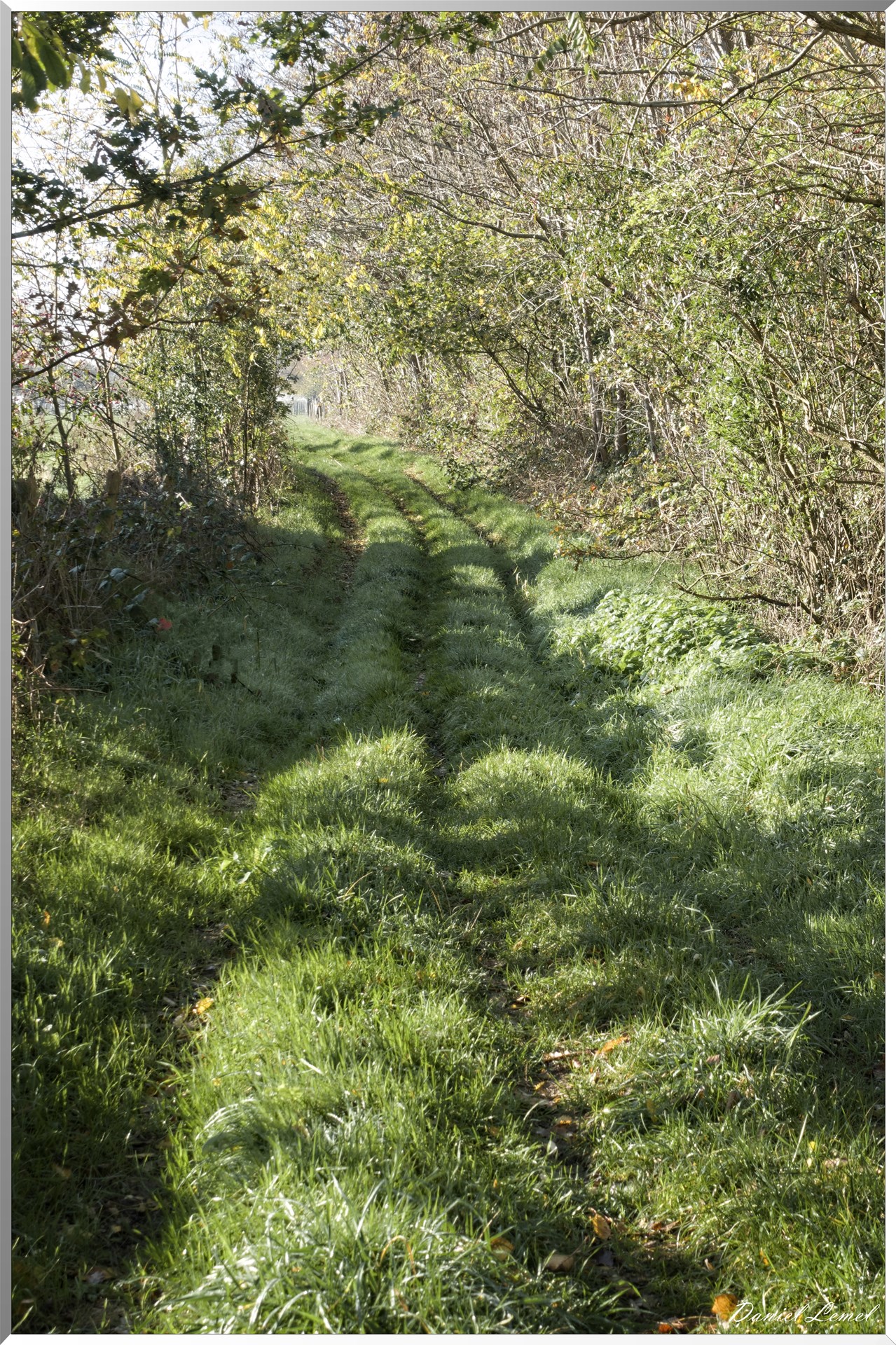 Saint-Pierre-de-Bailleul