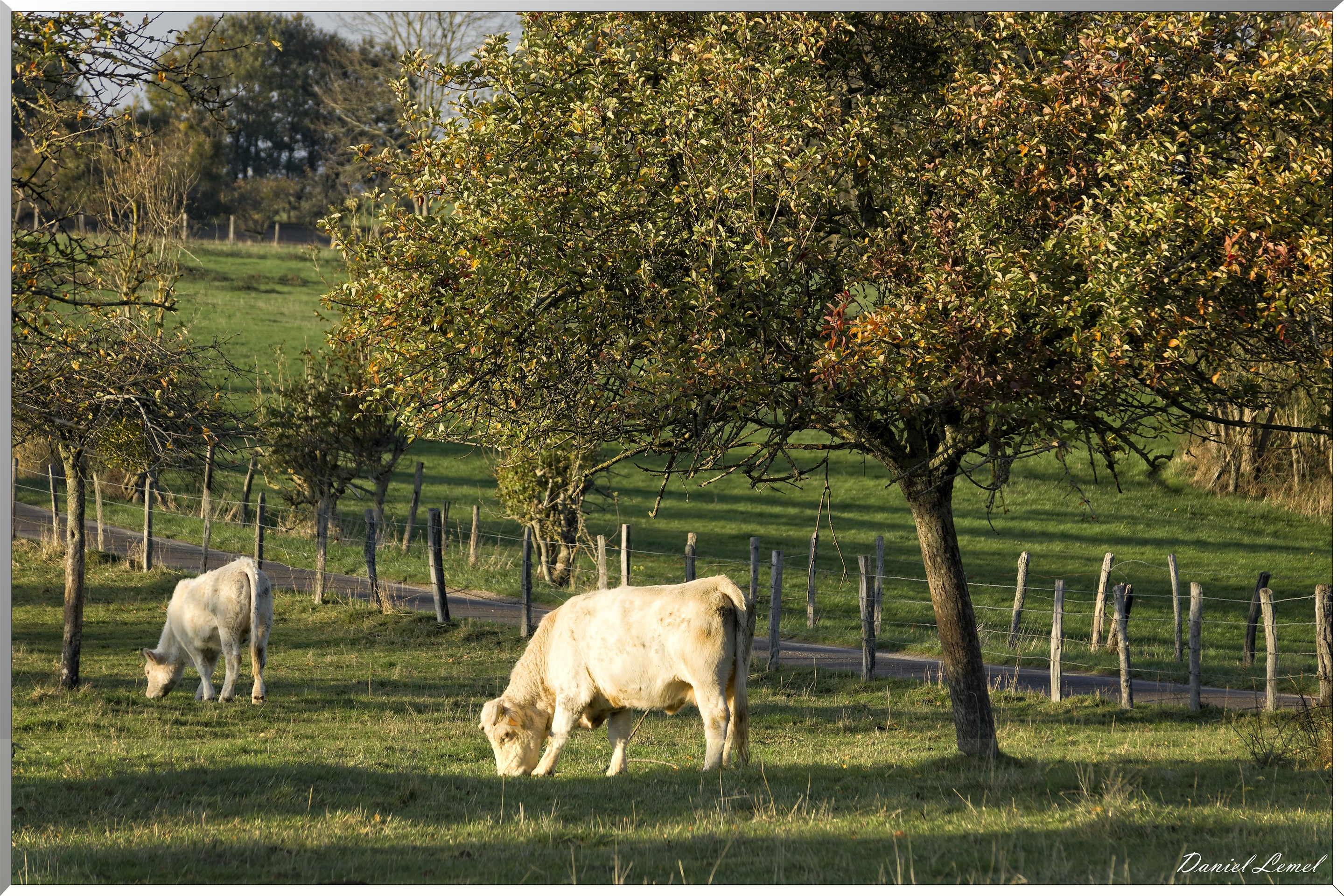 Saint-Pierre-de-Bailleul
