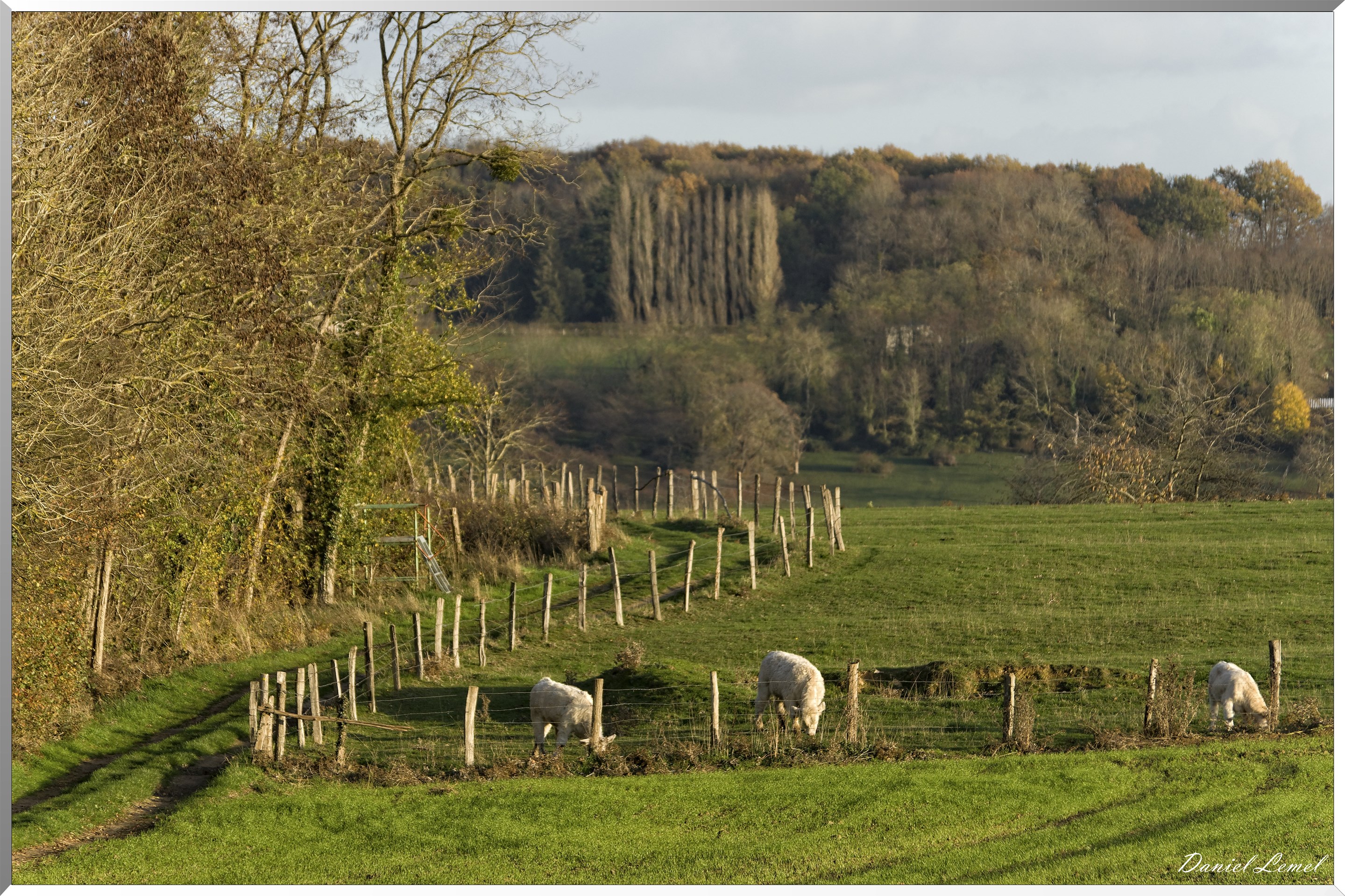 Saint-Pierre-de-Bailleul