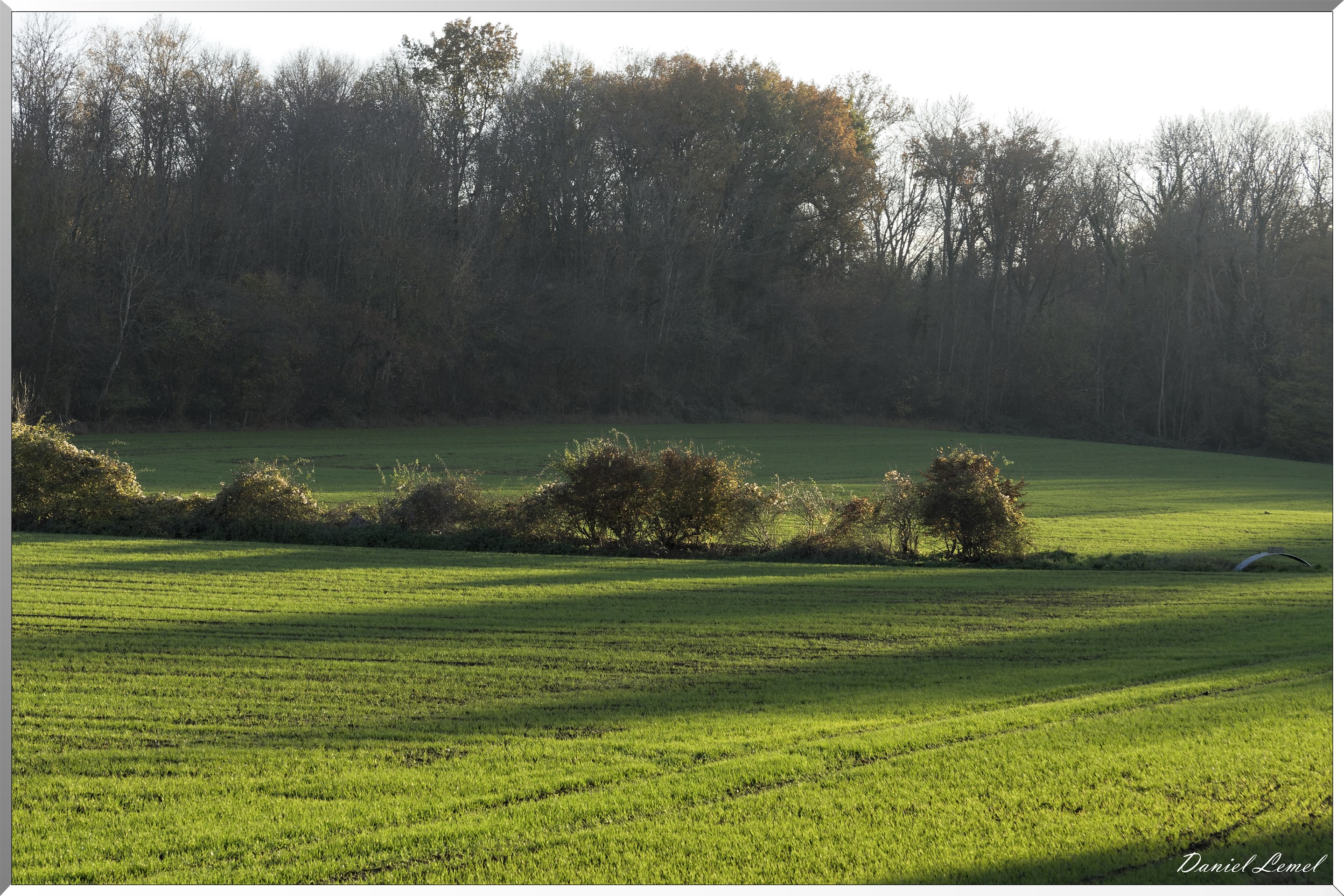 Saint-Pierre-de-Bailleul