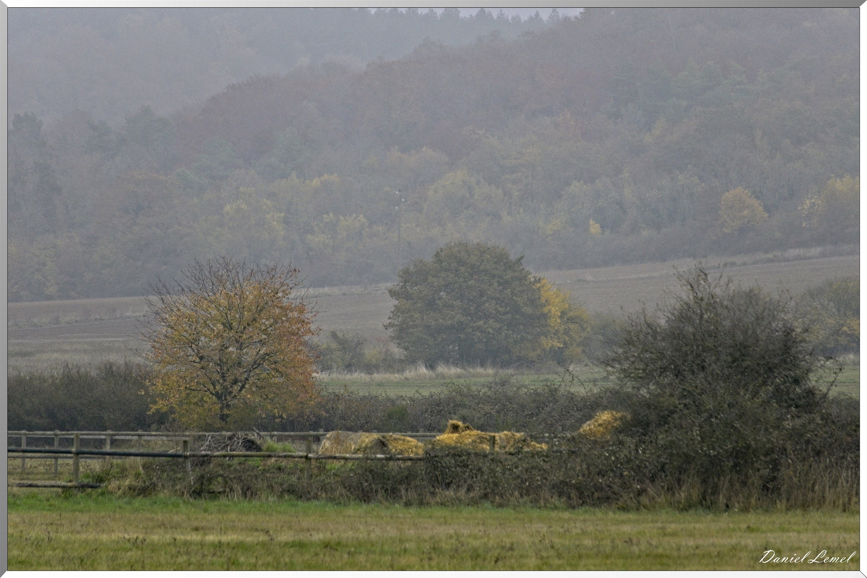 Pressagny l'orgueilleux