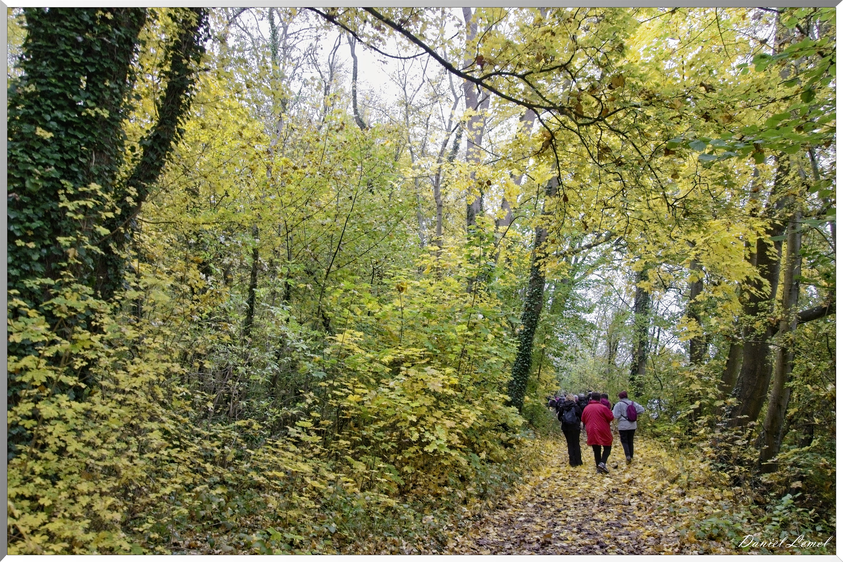 Pressagny l'orgueilleux
