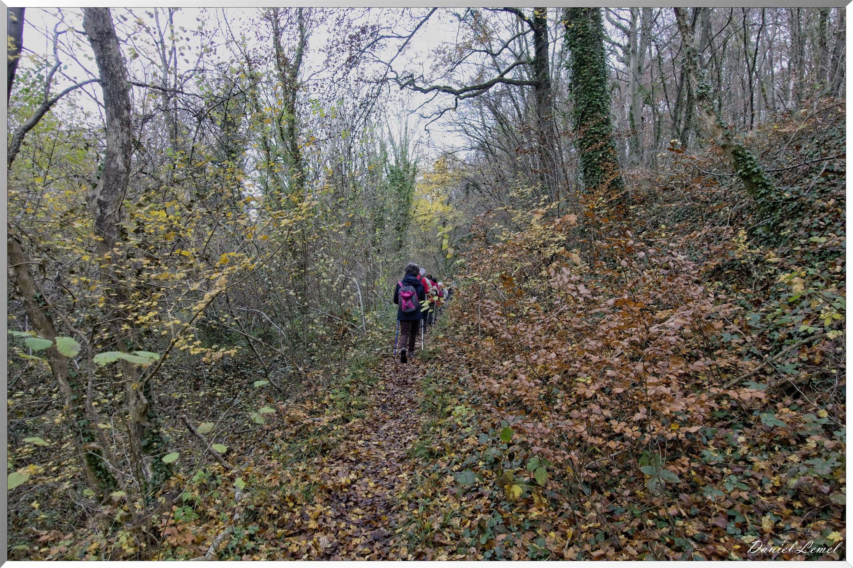 Les-collines de Vernonnet