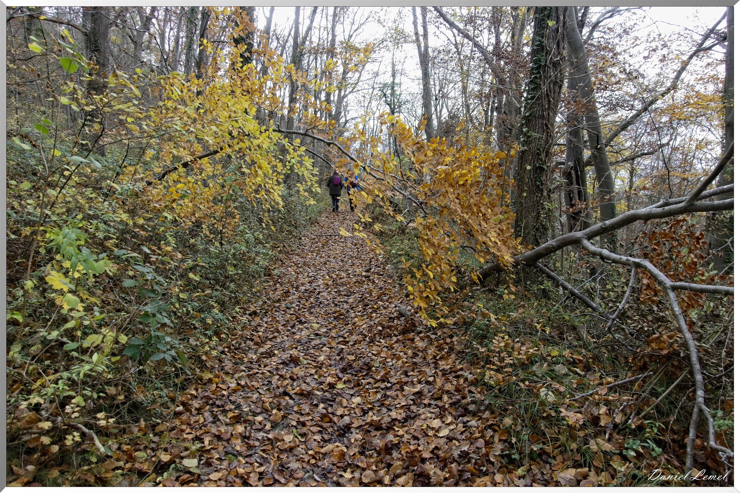 Les-collines de Vernonnet