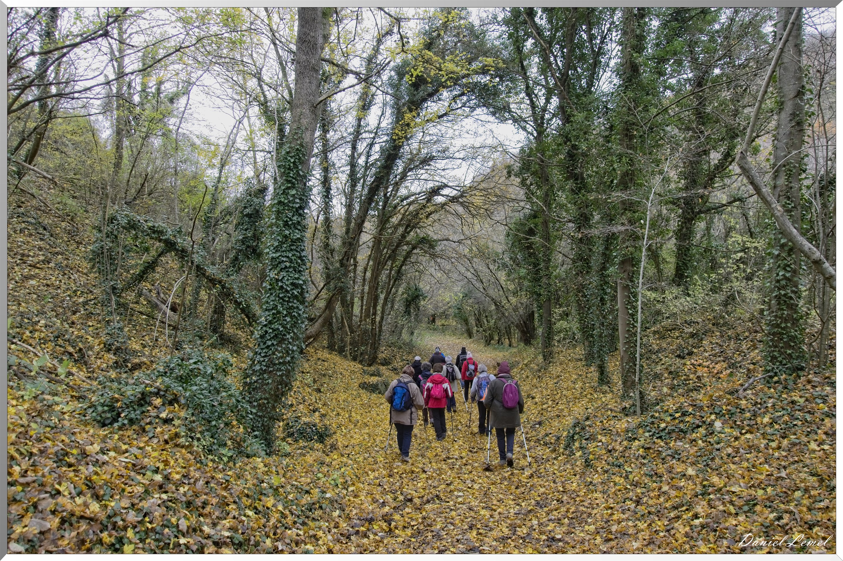 Les-collines de Vernonnet