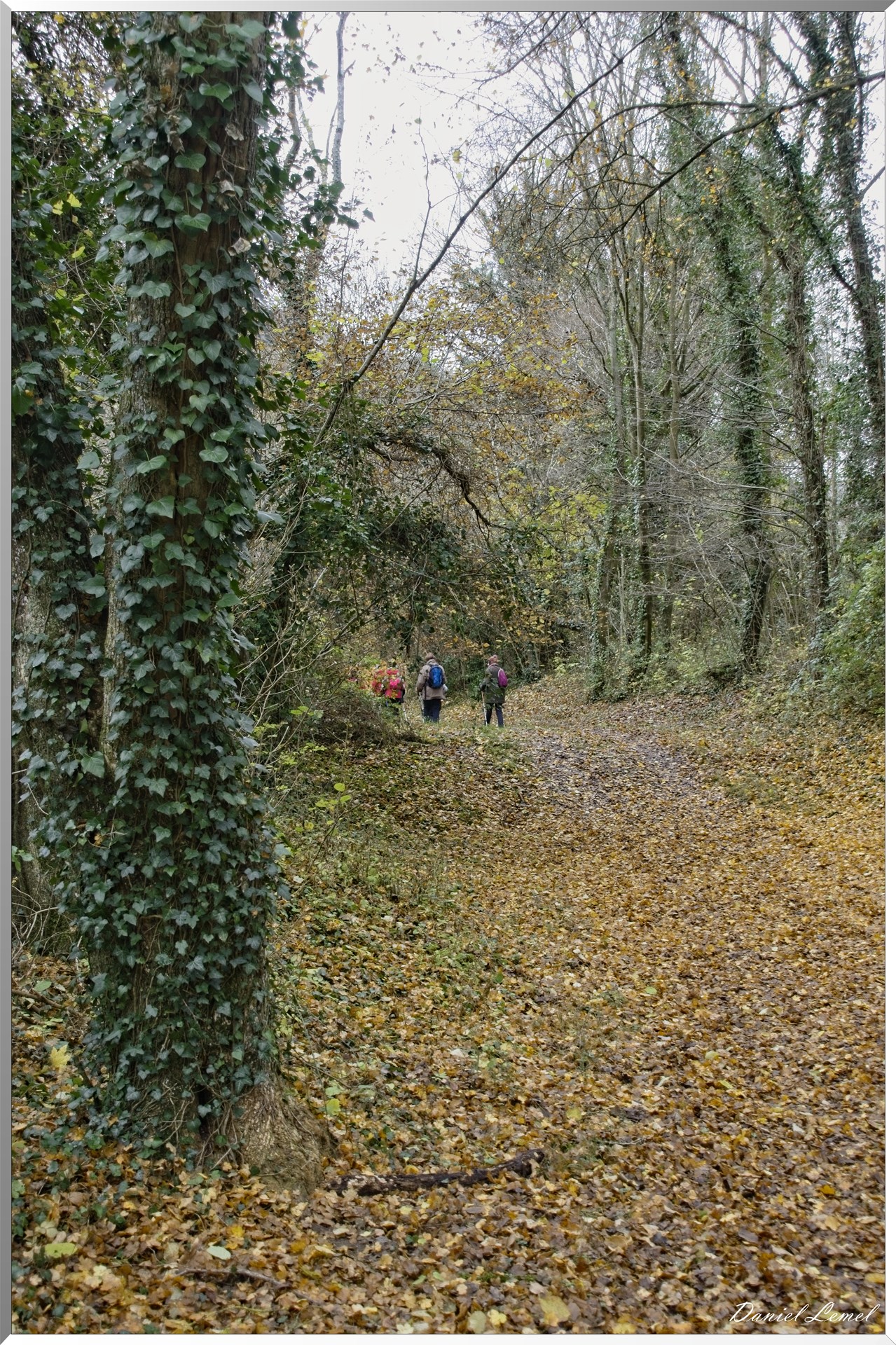 Les-collines de Vernonnet