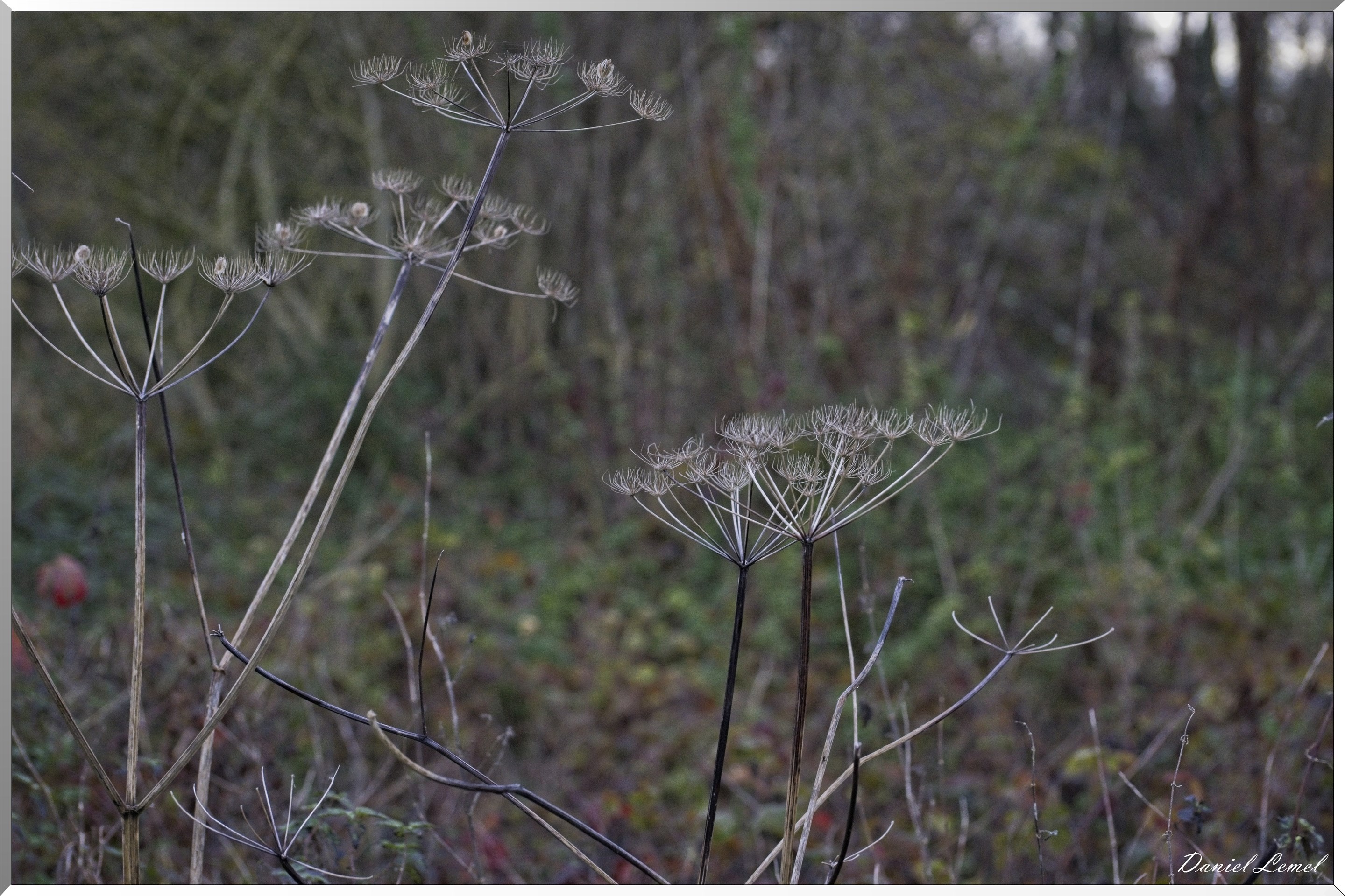 Les-collines de Vernonnet