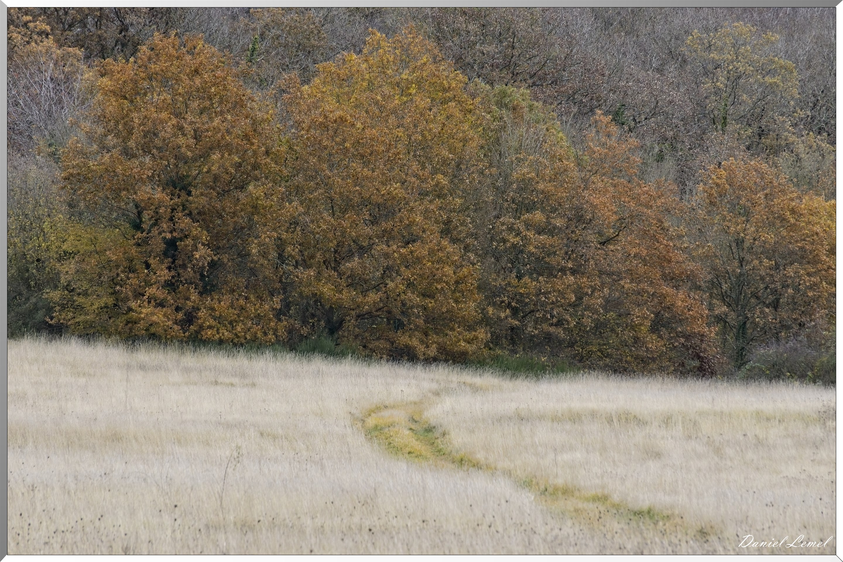 Les-collines de Vernonnet