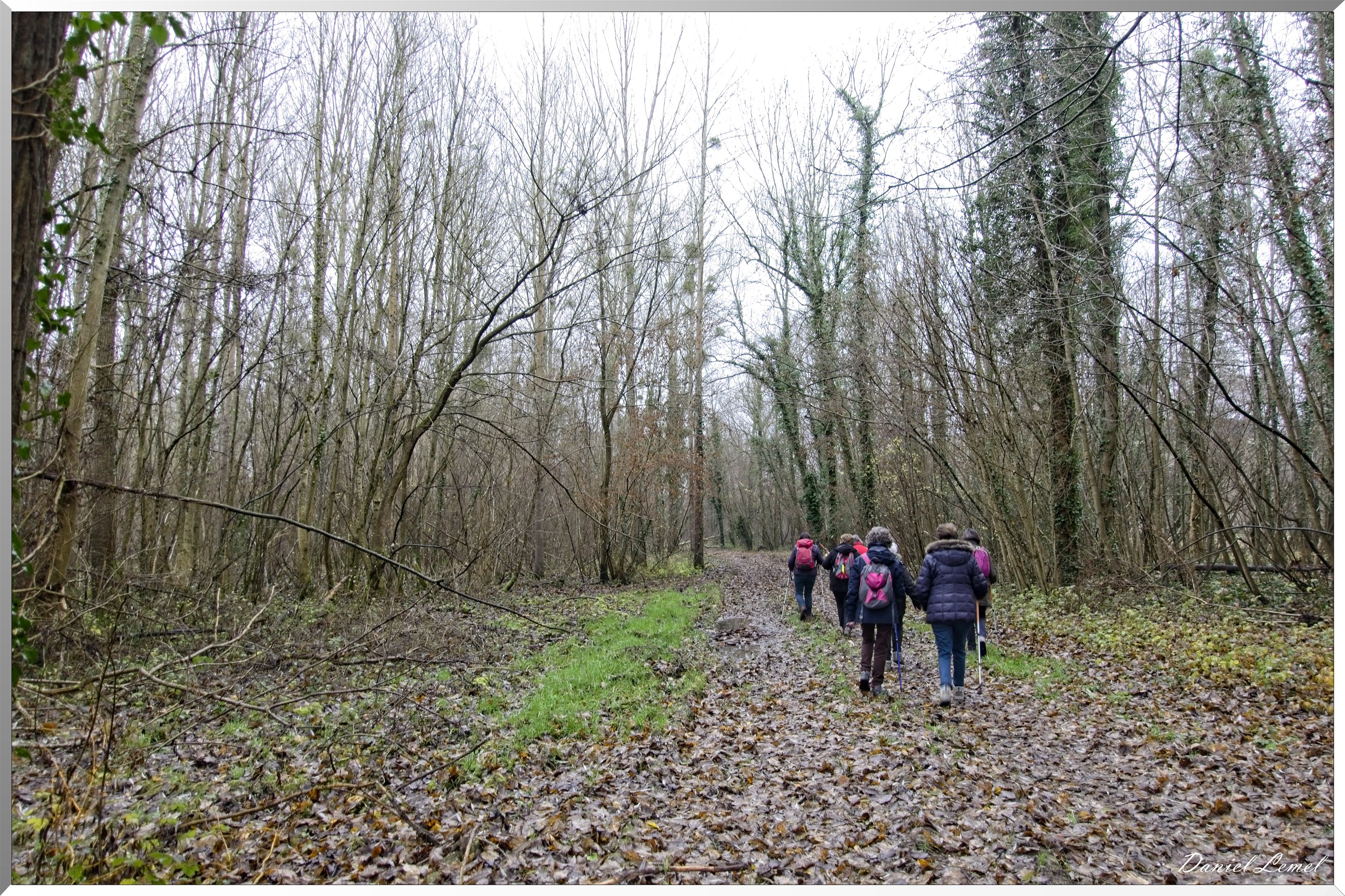 Ste Geneviève lès Gasny