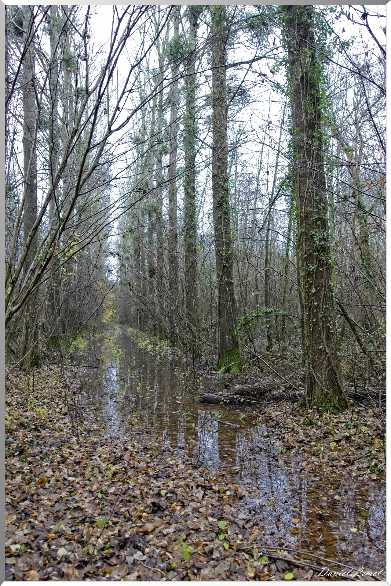 Ste Geneviève lès Gasny