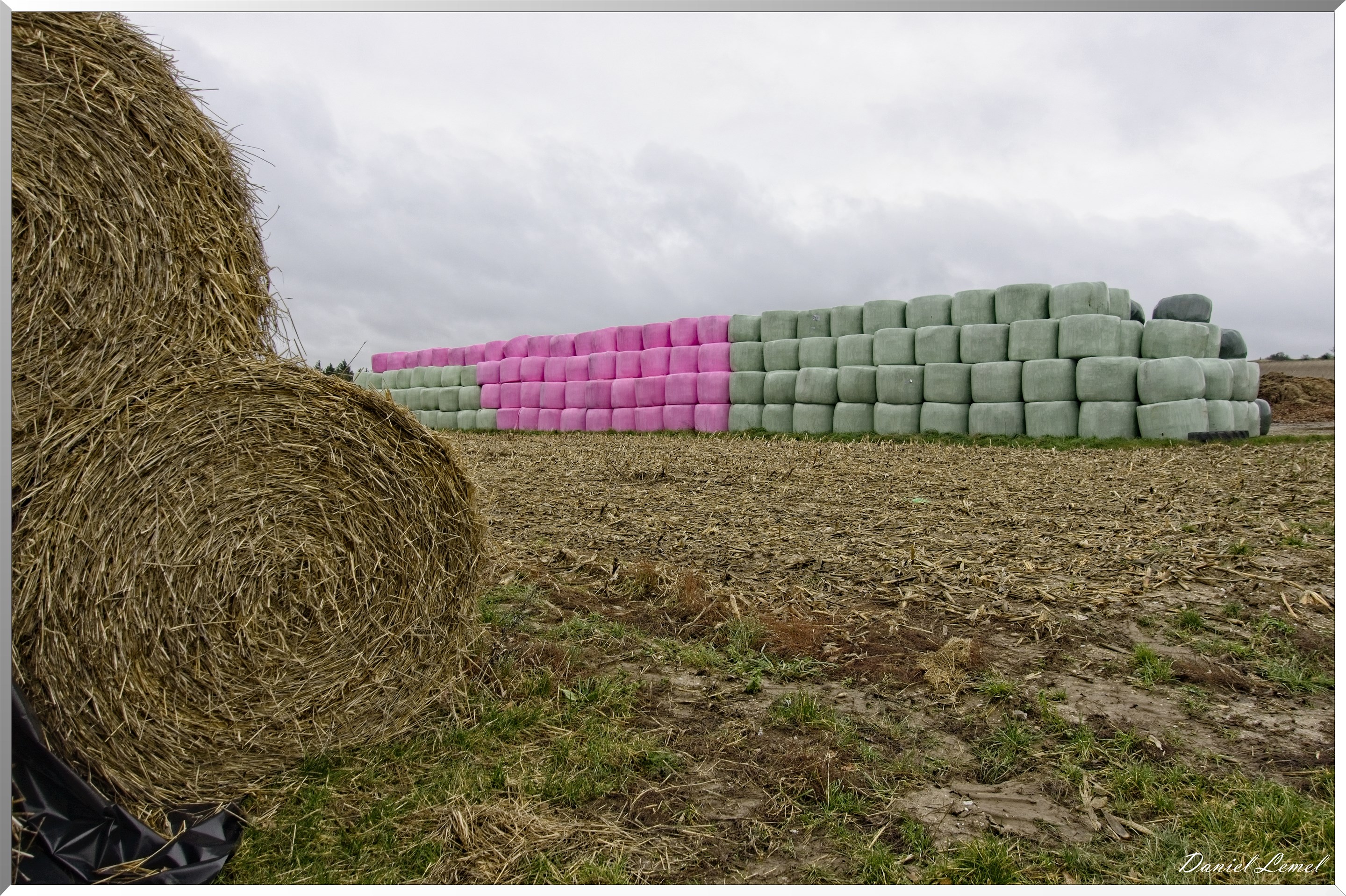 Ste Geneviève lès Gasny