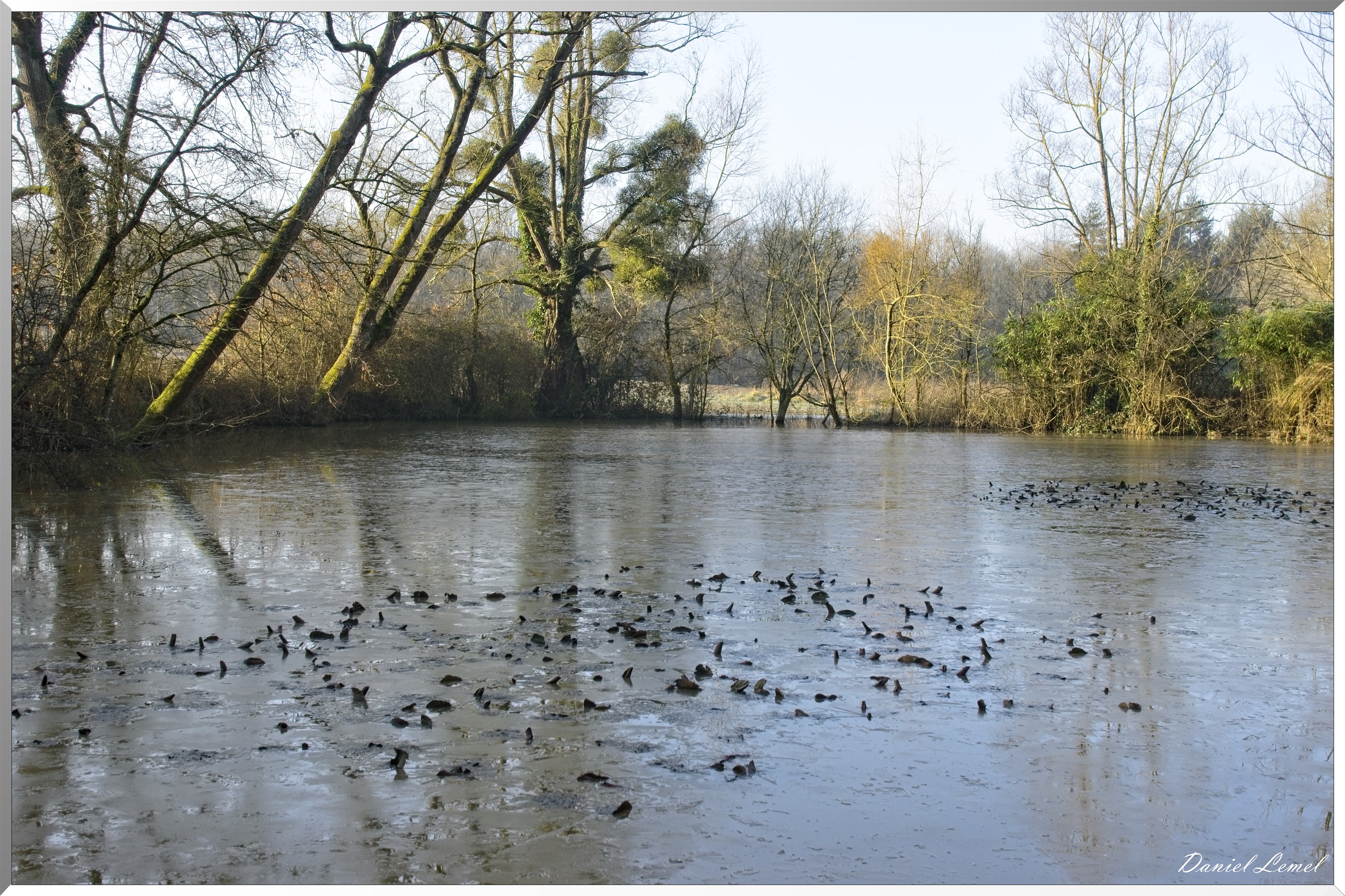 Bois-Jérôme-Saint-Ouen