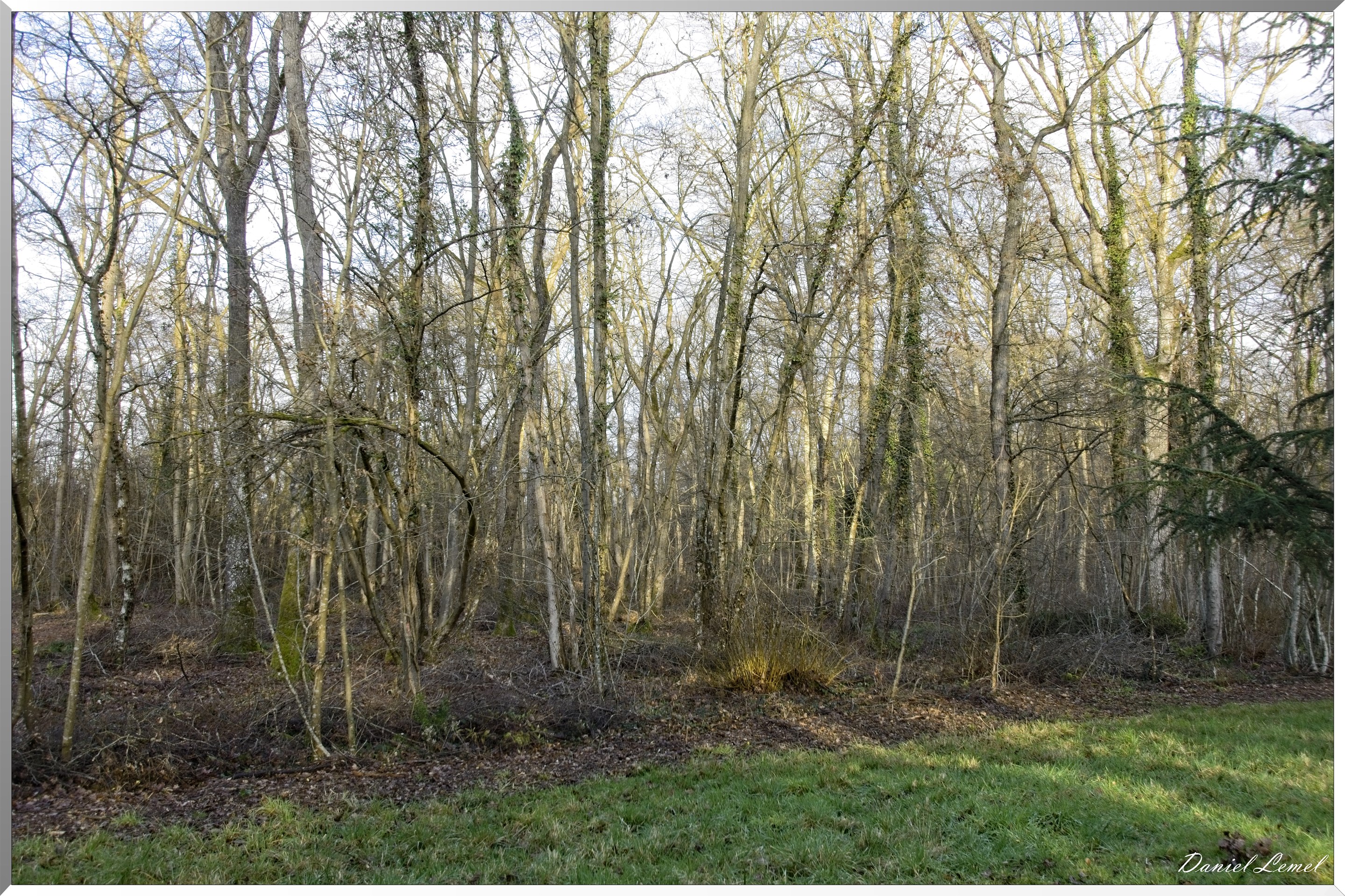 Arborétum de la Roche-Guyon