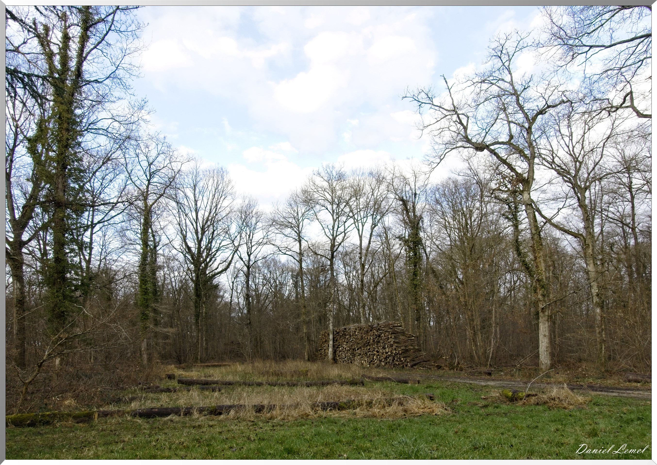 Arborétum de la Roche-Guyon