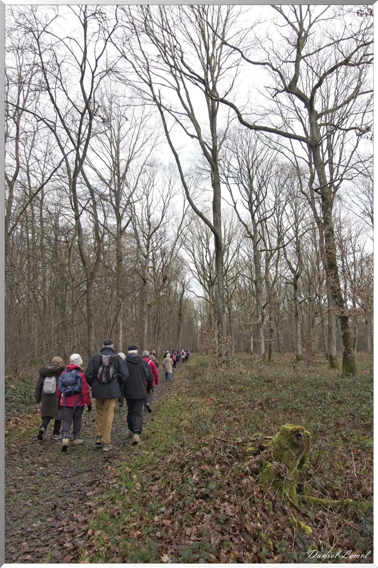 Arborétum de la Roche-Guyon