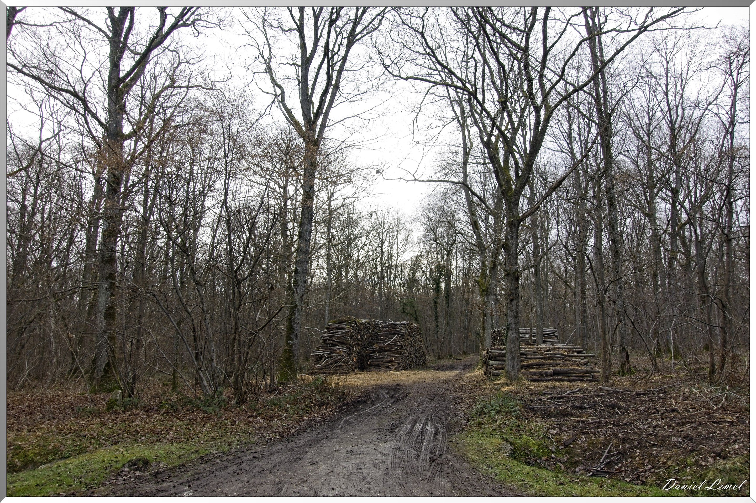 Arborétum de la Roche-Guyon