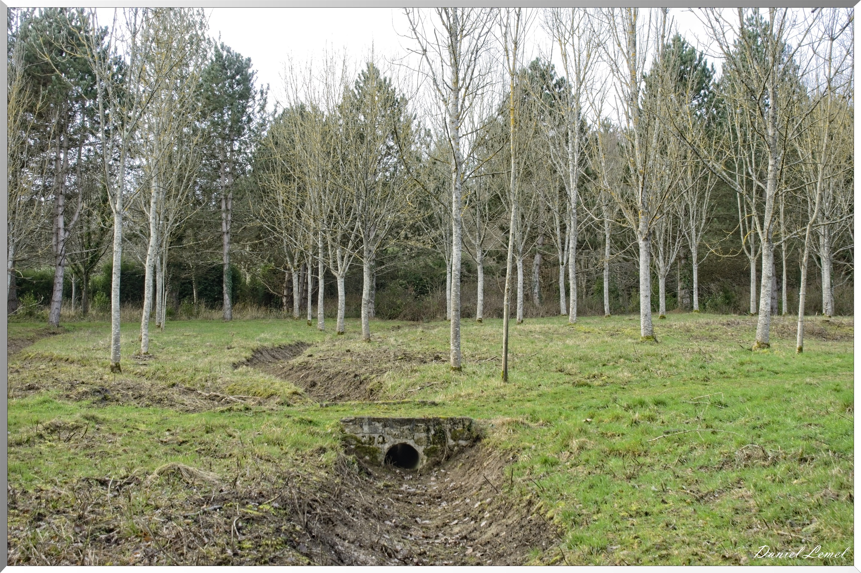 Arborétum de la Roche-Guyon
