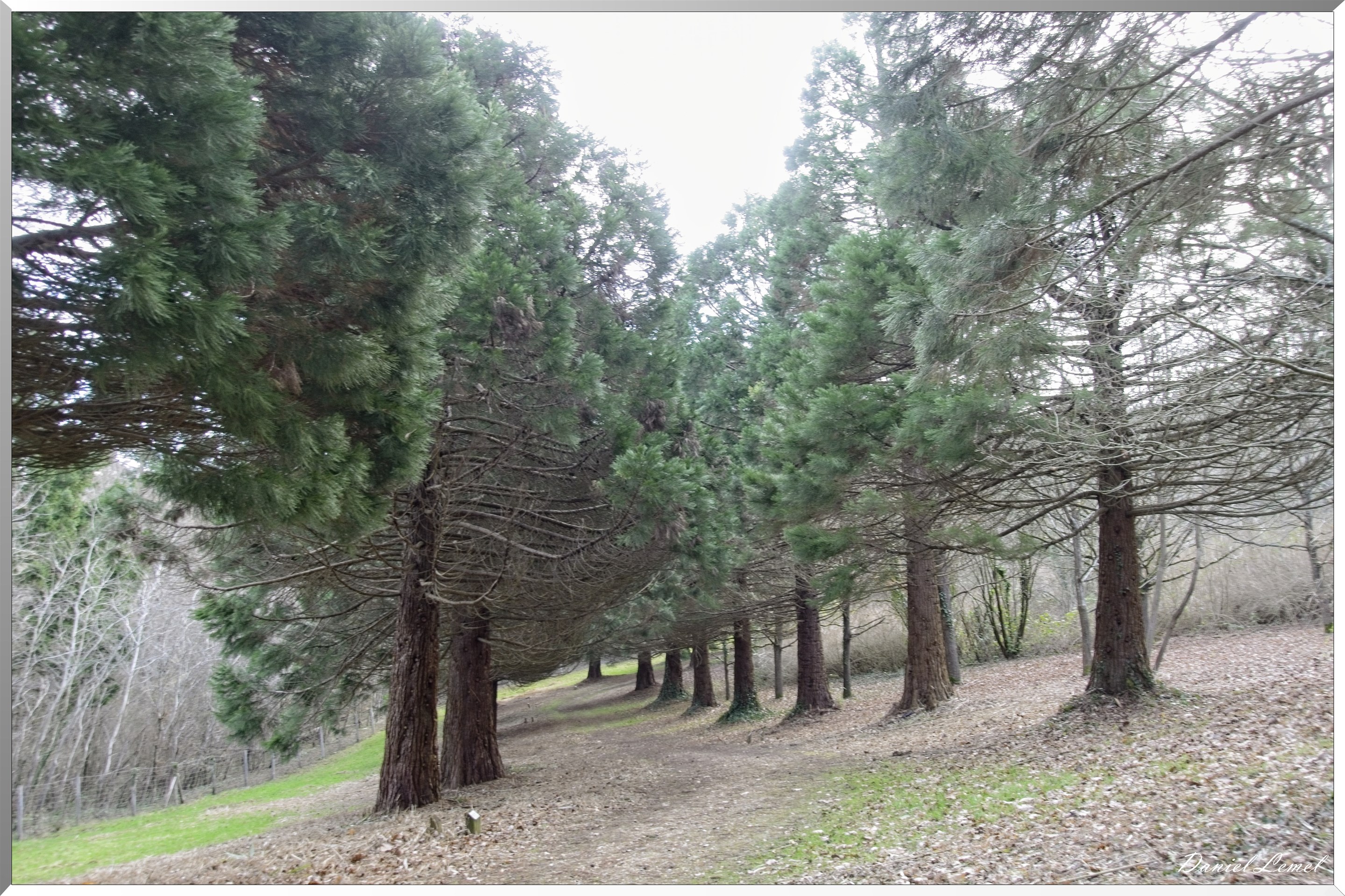 Arborétum de la Roche-Guyon