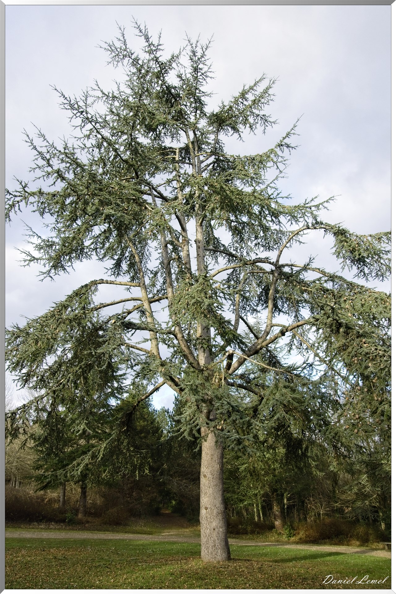 Arborétum de la Roche-Guyon