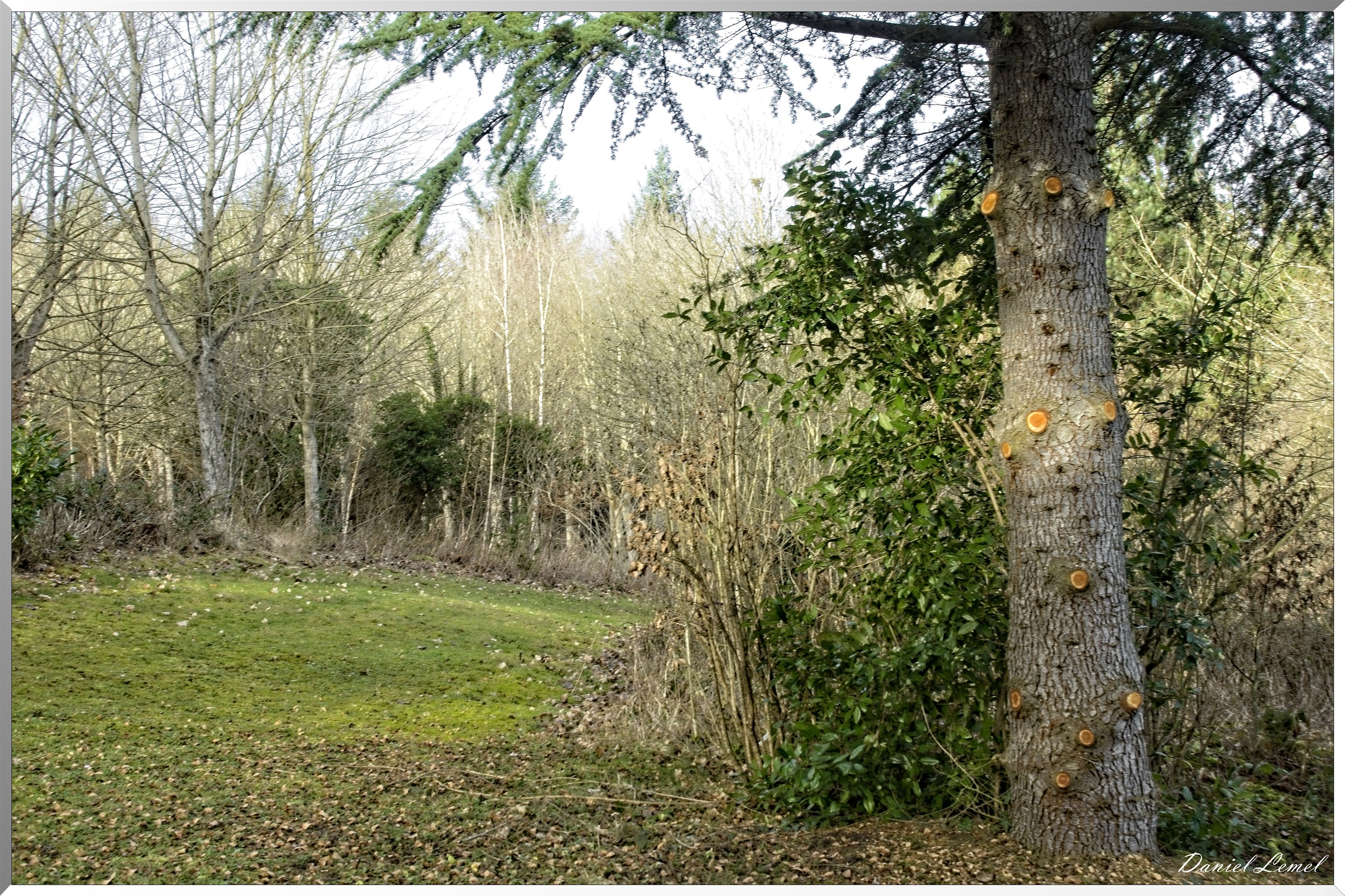 Arborétum de la Roche-Guyon