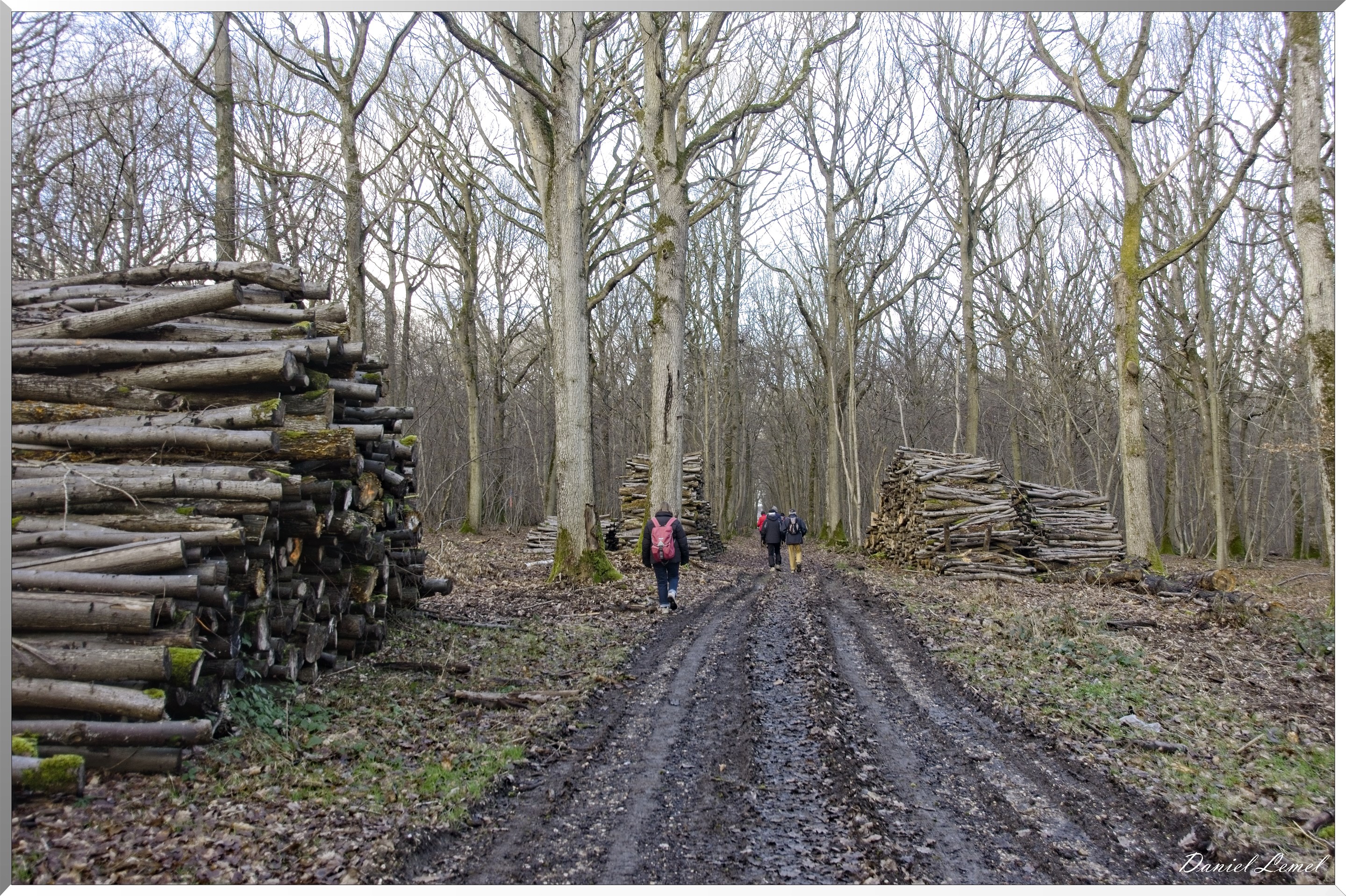 Arborétum de la Roche-Guyon